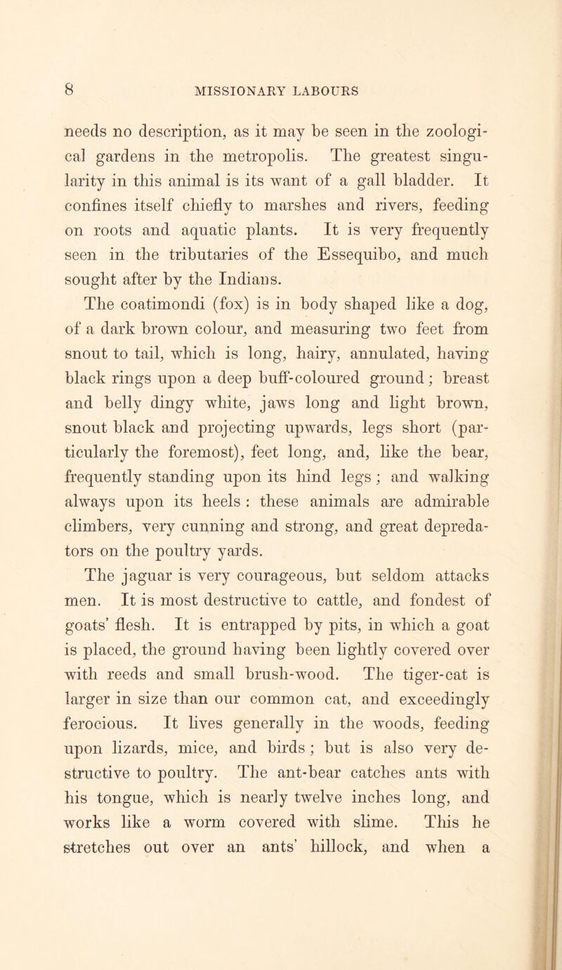 needs no description, as it may be seen in the zoologi- cal gardens in the metropolis. The greatest singu- larity in this animal is its want of a gall bladder. It confines itself chiefly to marshes and rivers, feeding on roots and aquatic plants. It is very frequently seen in the tributaries of the Essequibo, and much sought after by the Indians. The coatimondi (fox) is in body shaped like a dog, of a dark brown colour, and measuring two feet from snout to tail, which is long, hairy, annulated, having black rings upon a deep buff-coloured ground; breast and belly dingy white, jaws long and light brown, snout black and projecting upwards, legs short (par- ticularly the foremost), feet long, and, like the bear, frequently standing upon its hind legs; and walking always upon its heels : these animals are admirable climbers, very cunning and strong, and great depreda- tors on the poultry yards. The jaguar is very courageous, but seldom attacks men. It is most destructive to cattle, and fondest of goats’ flesh. It is entrapped by pits, in which a goat is placed, the ground having been lightly covered over with reeds and small brush-wood. The tiger-cat is larger in size than our common cat, and exceedingly ferocious. It lives generally in the woods, feeding upon lizards, mice, and birds; but is also very de- structive to poultry. The ant-bear catches ants with his tongue, which is nearly twelve inches long, and works like a worm covered with slime. This he stretches out over an ants’ hillock, and when a