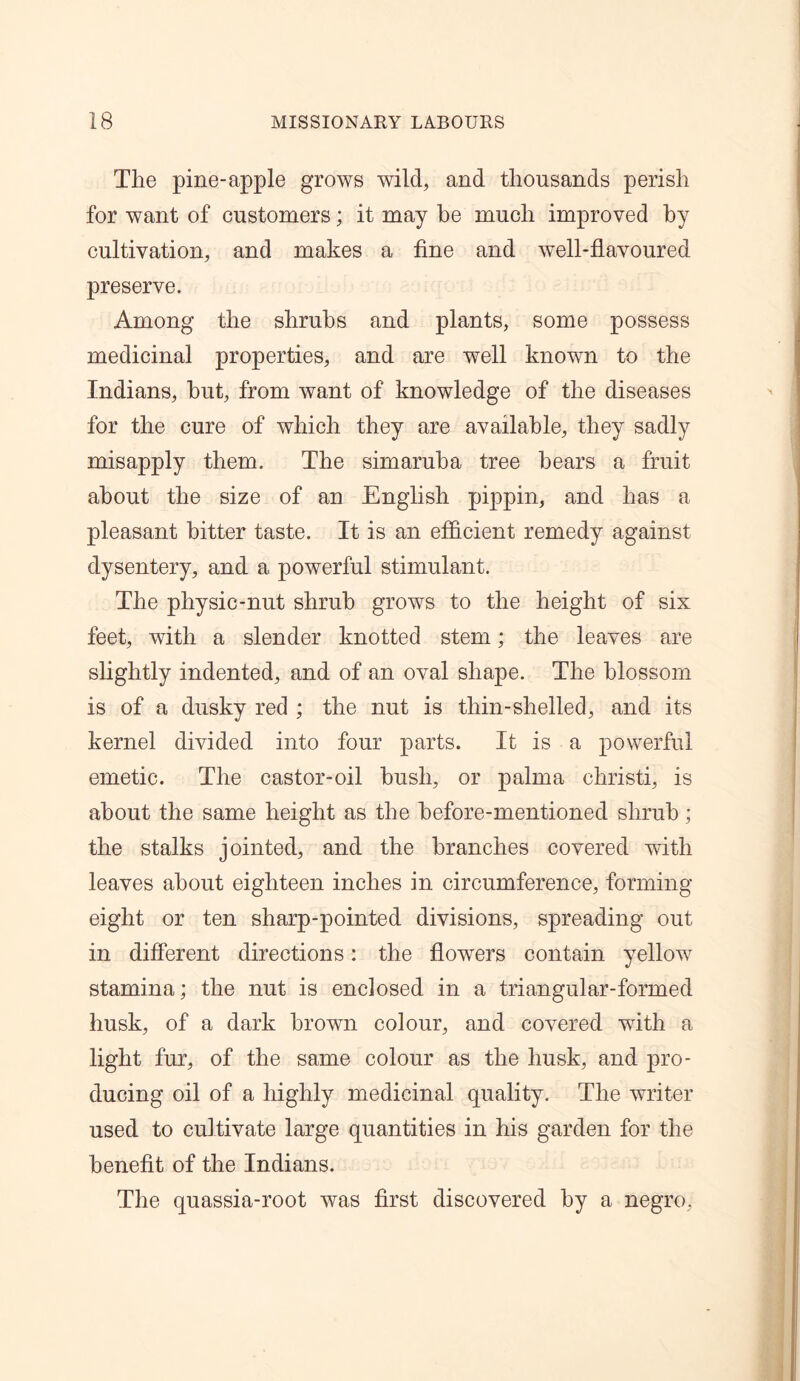 The pine-apple grows wild, and thousands perish for want of customers; it may be much improved by cultivation, and makes a fine and well-flavoured preserve. Among the shrubs and plants, some possess medicinal properties, and are well known to the Indians, but, from want of knowledge of the diseases for the cure of which they are available, they sadly misapply them. The simaruba tree bears a fruit about the size of an English pippin, and has a pleasant bitter taste. It is an efficient remedy against dysentery, and a powerful stimulant. The physic-nut shrub grows to the height of six feet, with a slender knotted stem; the leaves are slightly indented, and of an oval shape. The blossom is of a dusky red ; the nut is thin-shelled, and its kernel divided into four parts. It is a powerful emetic. The castor-oil bush, or palma christi, is about the same height as the before-mentioned shrub; the stalks jointed, and the branches covered with leaves about eighteen inches in circumference, forming eight or ten sharp-pointed divisions, spreading out in different directions: the flowers contain yellow stamina; the nut is enclosed in a triangular-formed husk, of a dark brown colour, and covered with a light fur, of the same colour as the husk, and pro- ducing oil of a highly medicinal quality. The writer used to cultivate large quantities in his garden for the benefit of the Indians. The quassia-root was first discovered by a negro,