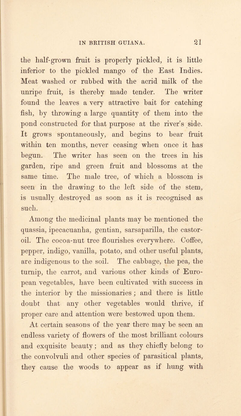 the half-grown fruit is properly pickled, it is little inferior to the pickled mango of the East Indies. Meat washed or rubbed with the acrid milk of the unripe fruit, is thereby made tender. The writer found the leaves a very attractive bait for catching fish, by throwing a large quantity of them into the pond constructed for that purpose at the river’s side. It grows spontaneously, and begins to bear fruit within ten months, never ceasing when once it has begun. The writer has seen on the trees in his garden, ripe and green fruit and blossoms at the same time. The male tree, of which a blossom is seen in the drawing to the left side of the stem, is usually destroyed as soon as it is recognised as such. Among the medicinal plants may be mentioned the quassia, ipecacuanha, gentian, sarsaparilla, the castor- oil. The cocoa-nut tree flourishes everywhere. Coffee, pepper, indigo, vanilla, potato, and other useful plants, are indigenous to the soil. The cabbage, the pea, the turnip, the carrot, and various other kinds of Euro- pean vegetables, have been cultivated with success in the interior by the missionaries ; and there is little doubt that any other vegetables would thrive, if proper care and attention were bestowed upon them. At certain seasons of the year there may be seen an endless variety of flowers of the most brilliant colours and exquisite beauty; and as they chiefly belong to the convolvuli and other species of parasitical plants, they cause the woods to appear as if hung with