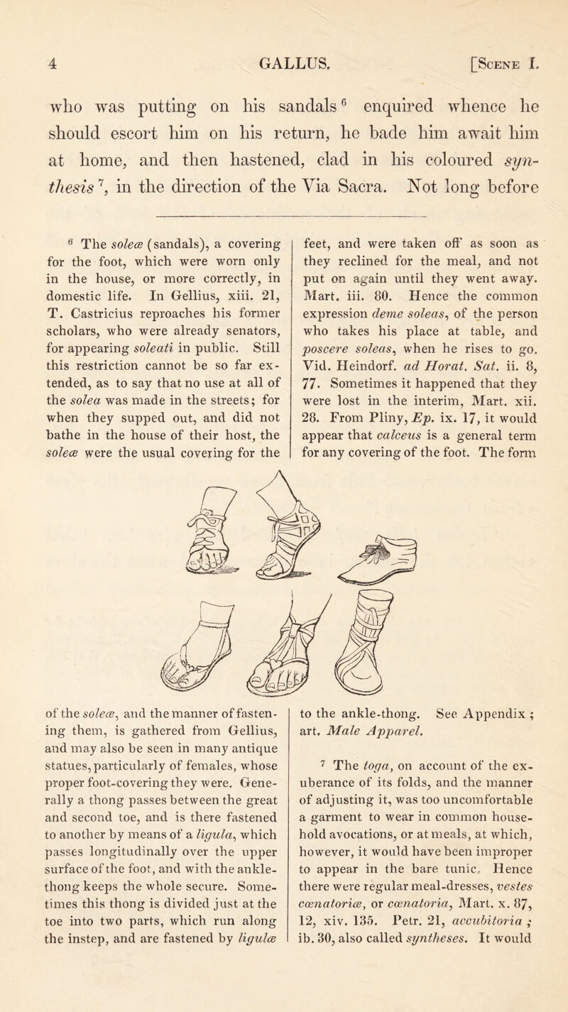 who was putting on his sandals ® enquired whence he should escort him on his return, he bade him await him at home, and then hastened, clad in his coloured syn- thesis ^ in the direction of the Via Sacra. Not long before ® The solece (sandals), a covering for the foot, which were worn only in the house, or more correctly, in domestic life. In Gellius, xiii. 21, T. Castricius reproaches his former scholars, who were already senators, for appearing soleati in public. Still this restriction cannot be so far ex- tended, as to say that no use at all of the solea was made in the streets; for when they supped out, and did not bathe in the house of their host, the solece were the usual covering for the feet, and were taken off as soon as they reclined for the meal, and not put on again until they went away. Mart. iii. 80. Hence the common expression deme soleas^ of the person who takes his place at table, and poscere soleas^ when he rises to go. Vid. Heindorf. ad Horat. Sat. ii. 8, 77. Sometimes it happened that they were lost in the interim, Mart. xii. 28. From Pliny, Ep. ix. 17, it would appear that calceus is a general term for any covering of the foot. The form of the solece.^ and the manner of fasten- ing them, is gathered from Gellius, and may also be seen in many antique statues,particularly of females, whose proper foot-covering they were. Gene- rally a thong passes between the great and second toe, and is there fastened to another by means of a Ugula., which passes longitudinally over the upper surface of the foot, and with the ankle- thong keeps the whole secure. Some- times this thong is divided just at the toe into two parts, which run along the instep, and are fastened by ligulce to the ankle-thong. See Appendix ; art. Male Apparel. The toga, on account of the ex- uberance of its folds, and the manner of adjusting it, was too uncomfortable a garment to wear in common house- hold avocations, or at meals, at which, however, it would have been improper to appear in the bare tunic.- Hence there were regular meal-dresses, vestes coenatorice, or coenatoria, Mart. x. 87, 12, xiv. 135. Petr. 21, accubitoria ; ib. 30, also called syntheses. It would