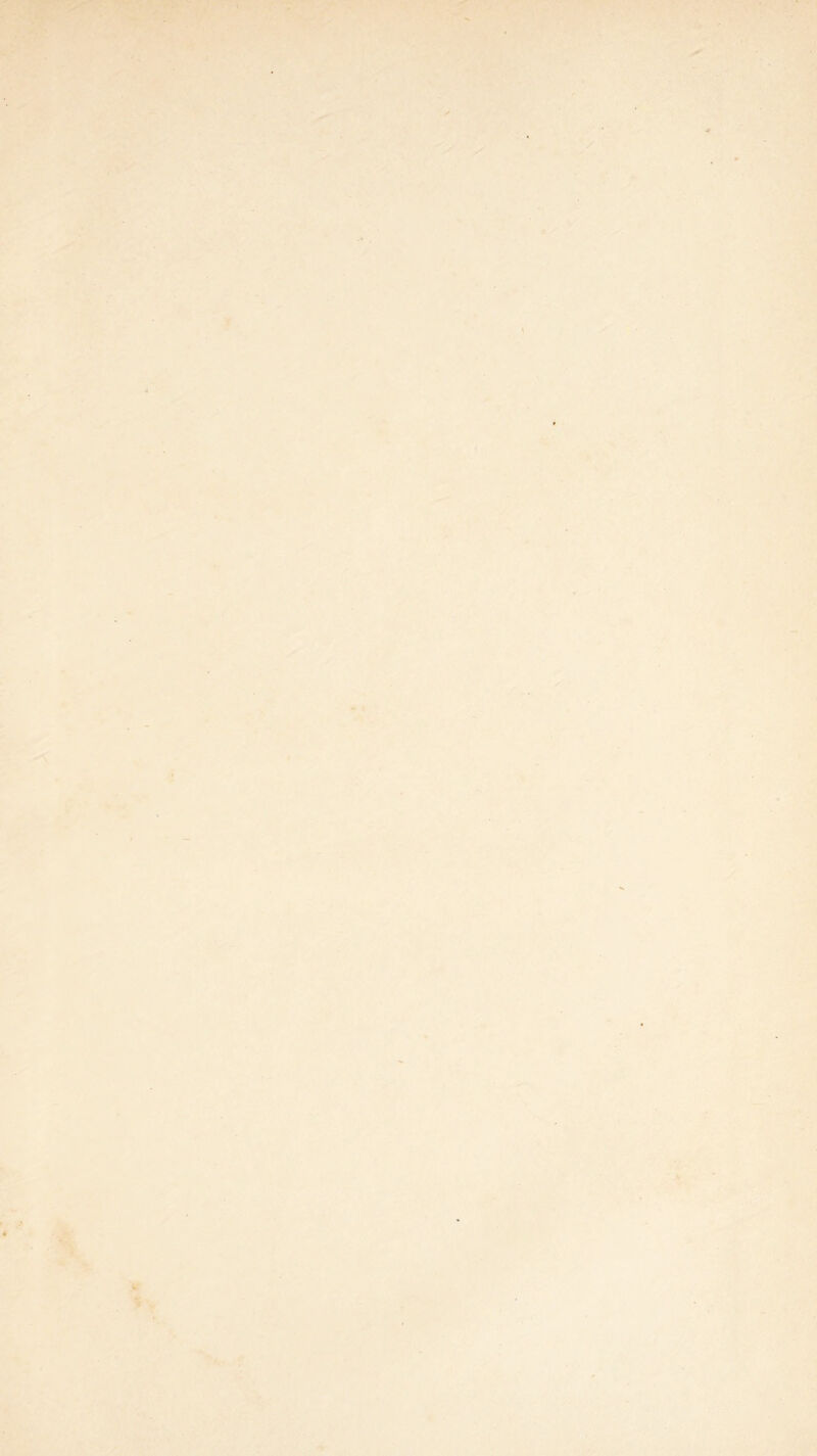 << •1 V**.' ' ■ • v.>. I ■ • ^ \ A . j(t-. ;■.'< ,v- ■ ^ « •y^'. / % W*‘- » .<r» li » •■ i • V •,1 II *J • t. ■,r i T. ' t » / 'i/ <* », *; ; > > •** •i i ■'