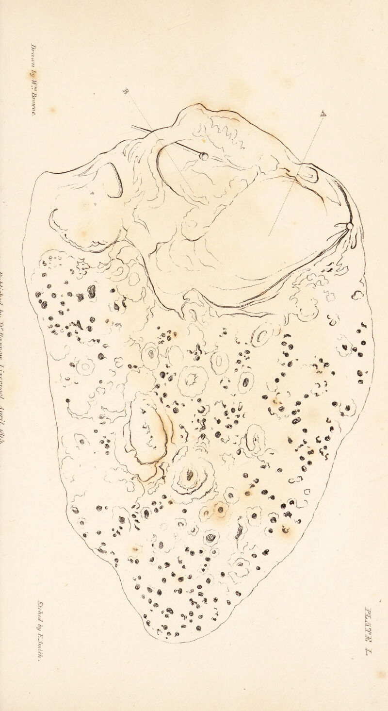 Di'iiivii hy Ti™ IjTf’ii'iie.