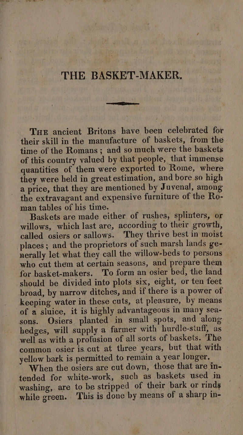 THE ancient Britons have been celebrated for their skill in the manufacture of baskets, from the time of the Romans; and so much were the baskets of this country valued by that people, that immense quantities of them were exported to Rome, where they were held in great estimation, and bore so high a price, that they are mentioned by Juvenal, among the extravagant and expensive furniture of the Ro- man tables of his time. Baskets are made either of rushes, splinters, or willows, which last are, according to their growth, called osiers or sallows. ‘They thrive best in moist places; and the proprietors of such marsh lands ge- nerally let. what they call the willow-beds to persons who cut them at certain seasons, and prepare them for basket-makers. 'To form an osier bed, the land should be divided into plots six, eight, or ten feet broad, by narrow ditches, and if there is a power of. keeping water in these cuts, at pleasure, by means of a sluice, it is highly advantageous in many sea- sons. Osiers planted in small spots, and along hedges, will supply a farmer with hurdle-stuff, as well as with a profusion of all sorts of baskets. The common osier is cut at three years, but that with » yellow bark is permitted to remain a year longer. When the osiers are cut down, those that are in- tended for white-work, such as baskets used in washing, are to be stripped of their bark or rinds while green. This is done by means of a sharp in-