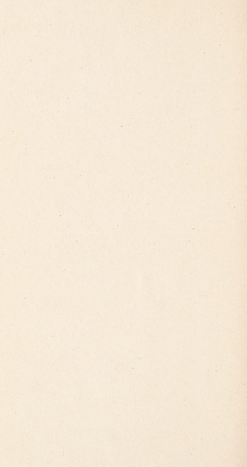 / • ( • ‘ \V - '■ i (• \. •t i \ i ' \ r ] i {' \ ) ^ /