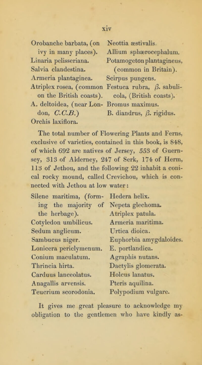Orobanche barbata, (on ivy in many places). Linaria pelisseriana. Salvia clandestina. Armeria plantaginea. Atriplex rosea, (common on the British coasts). A. deltoidea, (near Lon- don, C.C.B.) Orchis laxiflora. Neottia aestivalis. Allium sphaerocephalum. Potamogeton plantagineus, (common in Britain). Scirpus pungens. Festuca rubra, /3. sabuli- cola, (British coasts). Bromus maximus. B. diandrus, /3. rigidus. The total number of Flowering Plants and Ferns, exclusive of varieties, contained in this book, is 848, of which 692 are natives of Jersey, 553 of Guern- sey, 313 of Alderney, 247 of Serk, 174 of Herm, 113 of Jethou, and the following 22 inhabit a coni- cal rocky mound, called Crevichou, which is con- nected with Jethou at low water: Silene maritima, (form- ing the majority of the herbage). Cotyledon umbilicus. Sedum anglicum. Sambucus niger. Lonicera periclymenum. Conium maculatum. Thrincia hirta. Carduus lanceolatus. Anagallis arvensis. Teucrium scorodonia. Hedera helix. Nepeta glechoma. Atriplex patula. Armeria maritima. Urtica dioica. Euphorbia amygdaloides. E. portlandica. Agraphis nutans. Dactylis glomerata. Holcus lanatus. Pteris aquilina. Polypodium vulgare. It gives me great pleasure to acknowledge my obligation to the gentlemen who have kindly as-