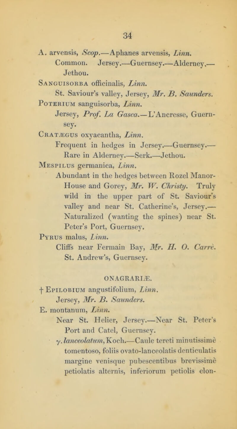 A, arvensis, Scop.—Aphanes arvensis, Linn. Common. Jersey.—Guernsey.—Alderney.— Jethou. Sanguisorba officinalis, Linn. St. Saviour’s valley, Jersey, Mr. B. Saunders. PoTERiuM sanguisorba, Linn. Jersey, Prof. La Gasca L’Ancresse, Guern- sey. Crataegus oxyacantha, Linn. Frequent in hedges in Jersey.—Guernsey.— Rare in Alderney.—Serk.—Jethou. Mespilus germanica, Linn. Abundant in the hedges between Rozel Manor- House and Gorey, 3Ir. W. Christy. Truly wild in the upper part of St. Saviour’s valley and near St. Catherine’s, Jersey.— Naturalized (wanting the sjDines) near St. Peter’s Port, Guernsey. Pyrus malus, Linn. Cliffs near Fermain Bay, 3Tr. H. O. Carre. St. Andrew’s, Guernsey. ONAGR.^RLE. f Epilobium angustifolium, Linn. Jersey, 3Ir. B. Saundei-s. E. montanum, Linn. Near St. Holier, Jersey.—Near St. Peter’s Port and Catel, Guernsey. y.lanccolatumfs.oe\\.—Caule tereti minutissime tomentoso, foliis ovato-lanceolatis denticulatis margine venisque pubescentibus brevissime petiolatis alternis, inferiorum petiolis elon-