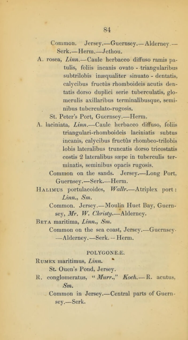 Common. Jersey.—Guernsey.—Alderney.— Serk.—Herm.—Jethou. A. rosea, Linn.—-Caule herbaceo dilFuso ramis pa- tulis, folds incanis ovato - triangularibiis subtrilobis insequaliter sinuato - dentatis, calycibus fructus rhomboideis acutis den- tatis dorso duplici serie tuberculatis, glo- merulis axillaribus terminalibusque, semi- nibus tuberculato-rugosis. St. Peter’s Port, Guernsey.—Herm. A. laciniata, Linn.—Caule herbaceo diffuso, folds triangulari-rhomboideis laciniatis subtus incanis, calycibus fructus rhombeo-trilobis lobis lateralibus truncatis dorso tricostatis costis 2 lateralibus saepe in tuberculis ter- minatis, seminibus opacis rugosis. Common on the sands. Jersey.—Long Port, Guernsey.—Serk.—Herm. Halimus portulacoides, Wallr.—Atriplex port: Linn., Sm. Common. Jersey.—Moulin Huet Bay, Guern- sey, Mr. W. Christy.—Alderney. Beta maritima, Linn., Sm. Common on the sea coast, Jersey.—Guernsey- —Alderney.—Serk. — Herm. POLYGON E/E. Rumex maritimus, Linn. * St. Ouen’s Pond, Jersey. R. conglomeratus, Murr.” Koch.— R. acutus, Sm. Common in Jersey.—Central parts of Guern- sey.—Serk.