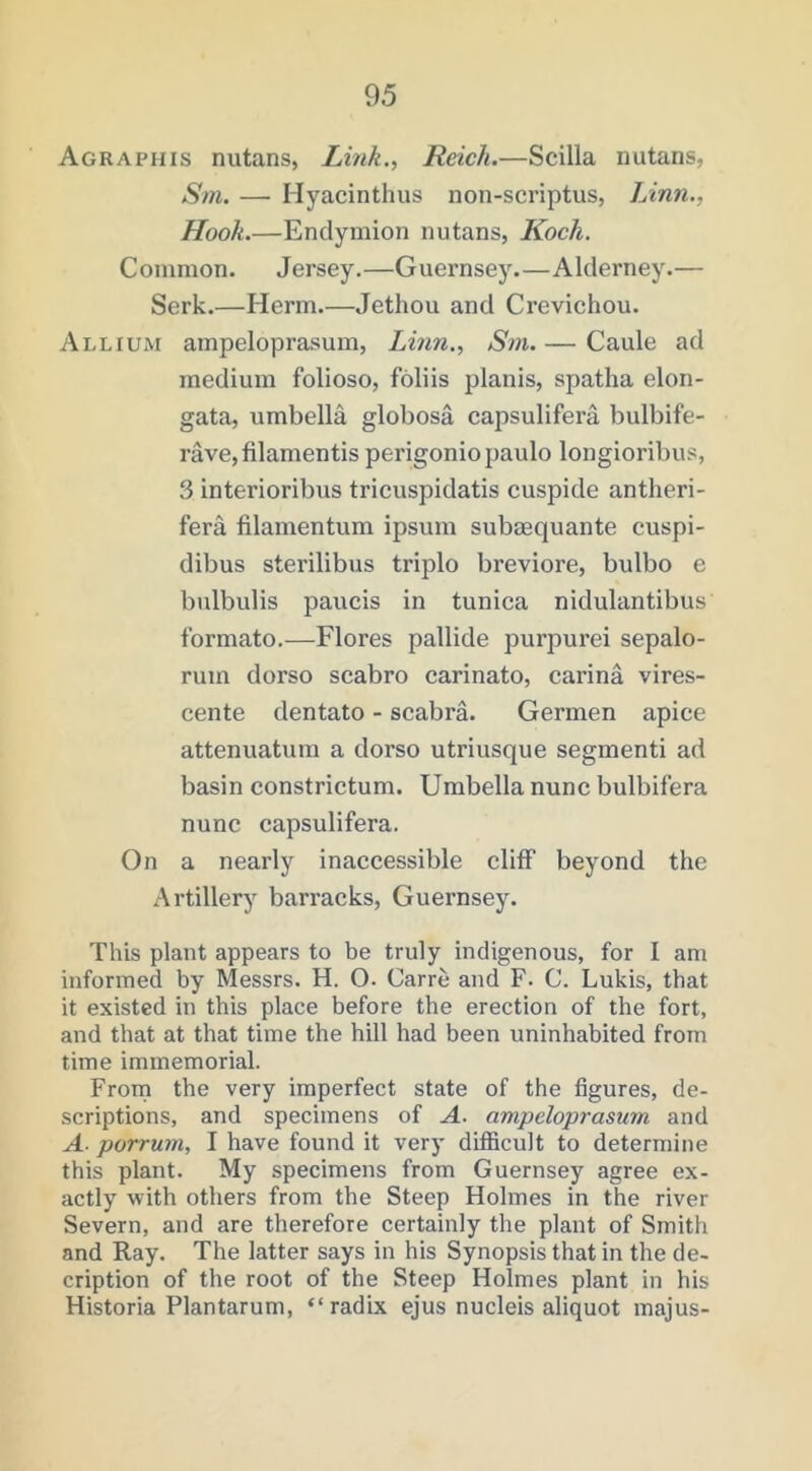 Agraphis nutans, Lhik., Reich.—Scilla nutans, Sm. — Hyacinthus non-scriptus, Linn., Hook.—Endymion nutans, Koch. Common. Jersey.—Guernsey.—Alderney.— Serk.—Herm.—Jethou and Crevichou. Allium ampeloprasuiu, Linn., Sm. — Caule ad medium folioso, foliis planis, spatha elon- gata, umbella globosa capsulifera bulbife- rave,filamentis perigoniopaulo longioribus, 3 interioribus tricuspidatis cuspide antheri- fera filamentum ipsum subiequante cuspi- dibus sterilibus triple breviore, bulbo e bidbulis paucis in tunica nidulantibus formate.—Flores pallide purpurei sepalo- rum dorso scabro carinate, carina vires- cente dentate - scabra. Germen apice attenuatura a dorso utriusque segmenti ad basin constrictum. Umbella nunc bulbifera nunc capsulifera. On a nearly inaccessible cliff beyond the Artillery barracks, Guernsey. This plant appears to be truly indigenous, for I am informed by Messrs. H. O. Carre and F. C. Lukis, that it existed in this place before the erection of the fort, and that at that time the hill had been uninhabited from time immemorial. From the very imperfect state of the figures, de- scriptions, and specimens of A. ampeloprasum and A. porrum, I have found it very difiicult to determine this plant. My specimens from Guernsey agree ex- actly with others from the Steep Holmes in the river Severn, and are therefore certainly the plant of Smith and Ray. The latter says in his Synopsis that in the de- cription of the root of the Steep Holmes plant in his Historia Plantarum, “radix ejus nucleis aliquot majus-