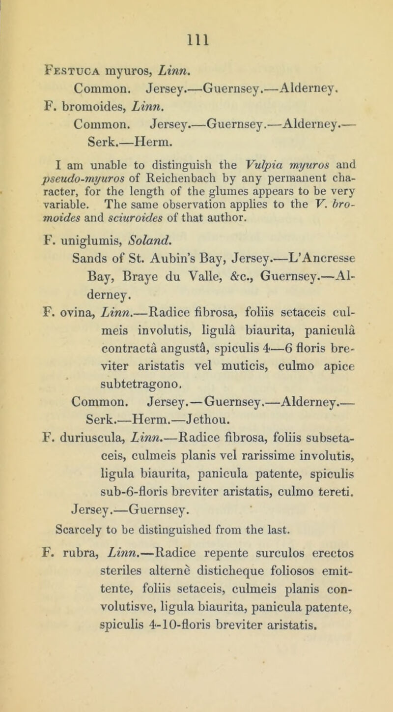 Festuca myuros, Linn. Common. Jersey.—Guernsey.—Alderney. F. bromoides, Linn. Common. Jersey.—Guernsey.—Alderney.— Serk.—Herm. I am unable to distinguish the Vulpia myuros and pseudo-myuros of Reichenbach by any permanent cha- racter, for the length of the glumes appears to be very variable. The same observation applies to the V. hro- moides and sciuroides of that author. F. uniglumis, Soland. Sands of St. Aubin’s Bay, Jersey.—L’Ancresse Bay, Braye du Valle, &c., Guernsey.—Al- derney. F. ovina, lAnn.—Radice fibrosa, foliis setaceis cul- meis involutis, ligula biaurita, panicula contracta angust^, spiculis 4—6 floris bre- viter aristatis vel muticis, culmo apice subtetragono. Common. Jersey.—Guernsey.—Alderney.— Serk.—Herm.—Jethou. F. duriuscula, Linn.—Radice fibrosa, foliis subseta- ceis, culmeis planis vel rarissime involutis, ligula biaurita, panicula patente, spiculis sub-6-floris breviter aristatis, culmo tereti. Jersey.—Guernsey. Scarcely to be distinguished from the last. F. rubra, Linn.—Radice repente surculos erectos steriles alterne disticlieque foliosos emit- tente, foliis setaceis, culmeis planis con- volutisve, ligula biaurita, panicula patente, spiculis 4-10-flons breviter aristatis.