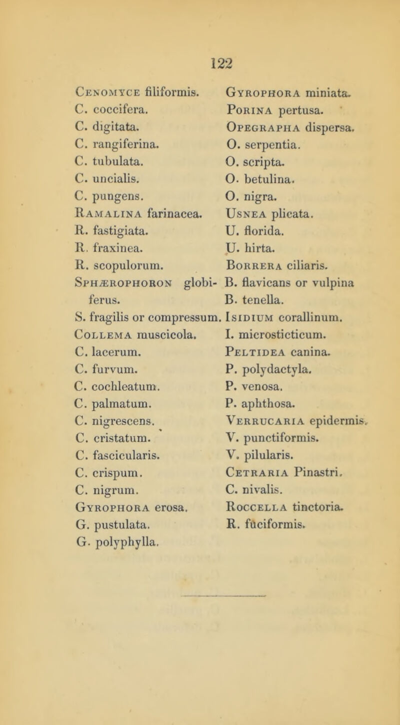 Cenomyce filiformis. C. coccifera. C. digitata. C. rangiferina. C. tubulata. C. uncialis. C. pungens. Ramalina farinacea. R. fastigiata. R. fraxinea. R. scopulorum. SPHiEROPHOKON globi- ferus. S. fragilis or compressum. CoLLEMA muscicola. C. lacerum. C. furvum. C. cochleatum. C. palmatum. C. nigrescens. C. cristatum. C. fascicularis. C. crispum. C. nigrum. Gyrophora erosa. G. pustulata. G. polyphylla. Gyrophora rainiata. PoRiNA pertusa. Opegrapha dispersa. O. serpentia. O. scripta. O. betulina. 0. nigra. UsNEA plicata. U. florida. U. liirta. Borrera ciliaris. B. flavicans or vulpina B. tenella. IsiDiuM corallinum. 1. microsticticum. Peltidea canina. P. polydactyla, P. venosa. P. aphthosa. Verrucaria epidermis, V. punctiformis. V. pilularis. Cetraria Pinastri. C. nivalis. Roccella tinctoria. R. fdciformis.