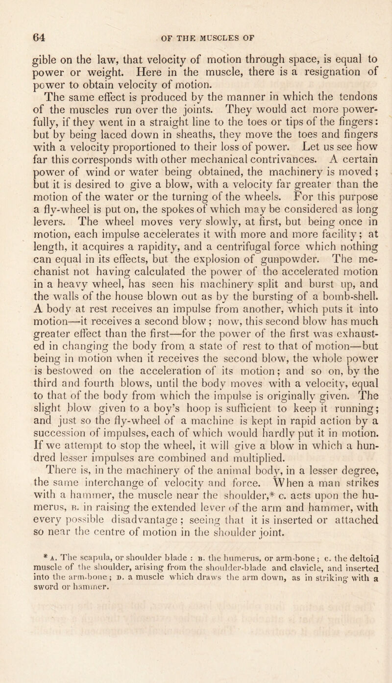 gible on the law, that velocity of motion through space, is equal to power or weight. Here in the muscle, there is a resignation of power to obtain velocity of motion. The same effect is produced by the manner in which the tendons of the muscles run over the joints. They would act more power- fully, if they went in a straight line to the toes or tips of the fingers: but by being laced down in sheaths, they move the toes and fingers with a velocity proportioned to their loss of power. Let us see how far this corresponds with other mechanical contrivances. A certain power of wind or water being obtained, the machinery is moved ; but it is desired to give a blow, with a velocity far greater than the motion of the water or the turning of the wheels. For this purpose a fly-wheel is put on, the spokes of which may be considered as long levers. The wheel moves very slowly, at first, but being once in motion, each impulse accelerates it with more and more facility; at length, it acquires a rapidity, and a centrifugal force which nothing can equal in its effects, but the explosion of gunpowder. The me- chanist not having calculated the power of the accelerated motion in a heavy wheel, has seen his machinery split and burst up, and the walls of the house blown out as by the bursting of a bomb-shell. A body at rest receives an impulse from another, which puts it into motion—it receives a second blow; now, this second blow has much greater effect than the first—for the power of the first was exhaust- ed in changing the body from a state of rest to that of motion—but being in motion when it receives the second blow, the whole power is bestowed on the acceleration of its motion; and so on, by the third and fourth blows, until the body moves with a velocity, equal to that of the body from which the impulse is originally given. The slight blow given to a boy’s hoop is sufficient to keep it running; and just so the fly-wheel of a machine is kept in rapid action by a succession of impulses, each of which would hardly put it in motion. If we attempt to stop the wheel, it will give a blow in which a hun- dred lesser impulses are combined and multiplied. There is, in the machinery of the animal body, in a lesser degree, the same interchange of velocity and force. When a man strikes with a hammer, the muscle near the shoulder,* c. acts upon the hu- merus, B. in raising the extended lever of the arm and hammer, with every possible disadvantage ; seeing that it is inserted or attached so near the centre of motion in the shoulder ioint. * A. The scapula, or shoulder blade : b. the humerus, or arm-bone ; c. the deltoid muscle of the shoulder, arising- from the shoulder-blade and clavicle, and inserted into the arm-bone; d. a muscle which draws the arm down, as in striking- with a sword or hammer.