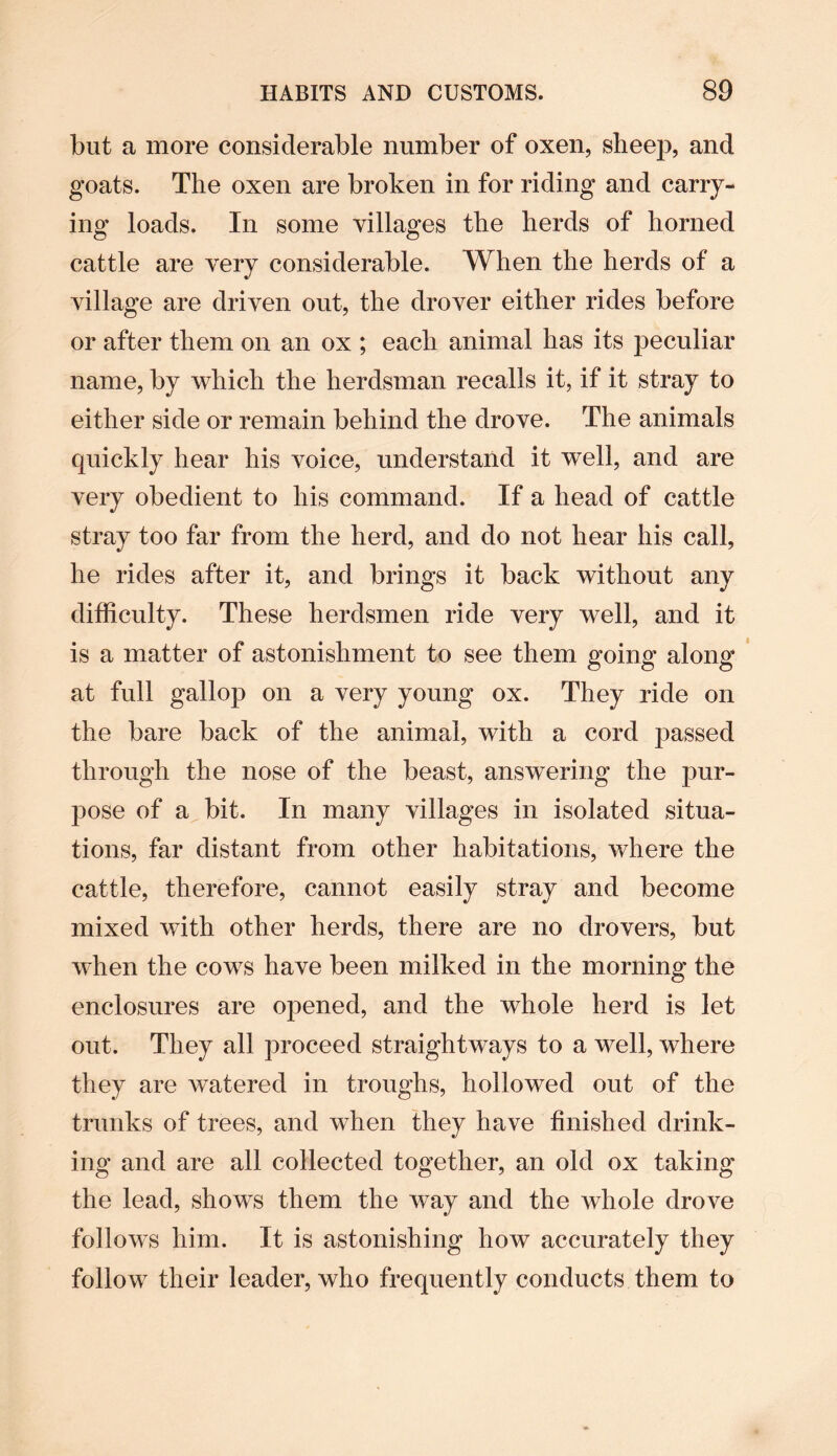 but a more considerable number of oxen, sheep, and goats. The oxen are broken in for riding and carry¬ ing loads. In some villages the herds of horned cattle are very considerable. When the herds of a village are driven out, the drover either rides before or after them on an ox ; each animal has its peculiar name, by which the herdsman recalls it, if it stray to either side or remain behind the drove. The animals quickly hear his voice, understand it well, and are very obedient to his command. If a head of cattle stray too far from the herd, and do not hear his call, he rides after it, and brings it back without any difficulty. These herdsmen ride very well, and it is a matter of astonishment to see them going along at full gallop on a very young ox. They ride on the bare back of the animal, with a cord passed through the nose of the beast, answering the pur¬ pose of a bit. In many villages in isolated situa¬ tions, far distant from other habitations, where the cattle, therefore, cannot easily stray and become mixed with other herds, there are no drovers, but when the cows have been milked in the morning the enclosures are opened, and the whole herd is let out. They all proceed straightways to a well, where they are watered in troughs, hollowed out of the trunks of trees, and when they have finished drink¬ ing and are all collected together, an old ox taking the lead, shows them the way and the whole drove follows him. It is astonishing how accurately they follow their leader, who frequently conducts them to