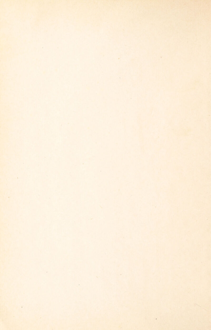 ► .. ^v - .^¥' ■ : rs ■ /. f % ^ %■ rí>' i '■ ,\ I ^1* ■' C- **í ;? ^ \ ♦