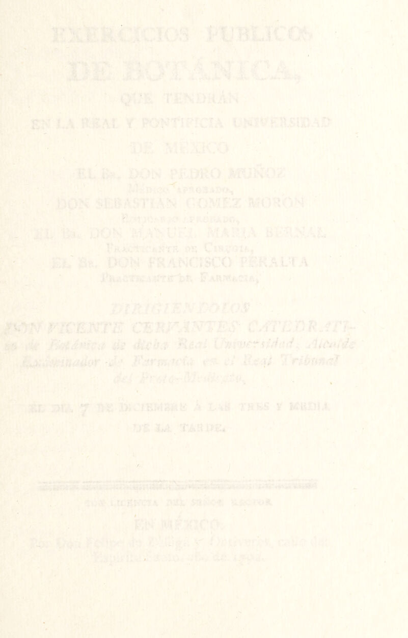 ' -v r’ / y f ♦ • ■■ * • :.-SVi.. 'T:sy^ V VP i i ■i * ^k'. é’ EN Í.A R^AL í, PO^’TlFfCIA l^W^^smAÚ Hr iJÍi AlfeSK-O. -v' „ -EtBii. iX>I>í PÉSlRO MJKOZ ■♦ í .■■:<' :- ■ ?íUl>:teiF .‘;'BÓK SE&ASTIAN'C^OMEZ'MOHON,,;' ■^' ' ' . E:>1 ■ ■ . ri h. l)on nxyvzi MAm^. '■•>:' ■ rRiLCttríkKTrv i>v; EL mr mn mANam'¥WM^mA ' ■ J^mA5TiC4^íTE'1:^h. FAnm^-zuJj^' i\ 1 ' HIKIÚÍÉNBotos ■ .. ‘ VK-EWTE CmFÁlsTBS- CAl'nBtiAn Mi- A' Boiámvii lis Mi'híi: RmI Uimicr dihui^ AisF'i, ^^tASmnador-d‘' Farm--su* «'st t’i Rí':»# Tribtma! -'■ ]?rMúo''MeAnj^cp^ . \ m. 'M,: y m: i>í.:!BMMí:‘ :'*'i.ítií trbs y kksbi. . ', ' ■ US 3«i TAHiíE* •r. \ lí- ‘ . , l • I \ . . ■ ■ I i .■-'*’■ ■;* ■ ■ . , ' ■■■>■ . • , ' ^ -r • V ^ ,  í; \ . f : ' ' ' ' . ■ :;■ -. - •,. . ■ ■' ; . V ‘ * ^ ■ y ., ■„ i, < »<»■-» ««i»»»» «K» «-Tñ «mW).. .-• ■ , Uí:EKCT4 >>• A ñ ' I V r . '¿í ;,,<^Í ’?•! <!-'-i«g.'. ■' í >iHí<. T'.H^, s>^v' ,A.: ,il -•‘i.’ '^‘'U; i ,^'V*'.v-‘•- <• v'í ^ > A >' V ' ■■■ ‘'.'.'i; T í Í-V > • v; F