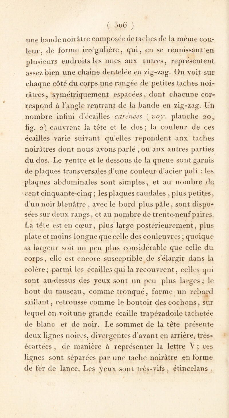 une bande noirâtre composée détachés de ia même cou* leur, de forme irrégulière, qui, en se réunissant en plusieurs endroits les unes aux autres, représentent assez bien une chaîne dentelée en zig-zag. On voit sur chaque côté du corps une rangée de petites taches noi¬ râtres, symétriquement espacées, dont chacune cor¬ respond à l’angle rentrant de la bande en zig-zag. ün nombre infini d’écailîes carénées planche 20, fig. 2) couvrent ia tête et le dos ; la couleur de ces écailles varie suivant quelles répondent aux taches noirâtres dont nous avons parlé , ou aux autres parties du dos. Le ventre et le dessous de la queue sont garnis de plaques transversales d’une couleur d’acier poli : les ;plaques abdominales sont simples, et au nombre de cent cinquante-cinq ; les plaques caudales , plus petites, d’un noir bleuâtre , avec le bord plus pâle, sont dispo¬ sées sur deux rangs, et au nombre de trente-neuf paires. La tête est en cœur, plus large postérieurement, plus plate et moins longue que celle des couleuvres ; quoique sa largeur soit un peu plus considérable que celle du corps, elle est encore susceptible de s’élargir dans la colère^ parmi les écailles qui ia recouvrent, celles qui sont au-dessus des yeux sont un peu plus lar ges ; le bout du museau, comme tronqué, forme un rebord saillant, retroussé comme le boutoir des cochons, sur lequel on voitune grande écaille trapézadoïle tachetée de blanc et de noir. Le sommet de la tête présente deux lignes noires, divergentes d’avant en arrière, très» écartées , de manière à représenter la lettre Y ; ces lignes sont séparées par une tache noirâtre en forme de fer de lance. Les yeux sont très-vifs, étincelans ,