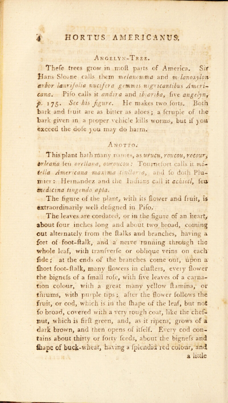 A N G E L Y N -T REE. Thefe trees grow in tnoR parts of America. Sit }Tans Sloane calls them VitlancihTna and 7ndanoxylo'ii arbor laurijoho nncijcj a gemrnn mg^ icaritihus Amtri^ ca?ia. Piio calls it a7idii a and ibiariboy frve angelyn^ f' 175. Sit his figure, lie makes two forts. Both bark and ifuit are as bitter as aloes; a fcruple of the bark given in a ptoper \’ehic'e kills worms, but if you exceed the dole j uu may do harm. A N o T T O This plant hath niany naines, as ufuCu, roucou, rccoiir^ orleana len on liana, ouroucou : Toumefort calls it mf- tella Americana maxima tsntlor^a, aiui fo doth Piu- rr ler : Heimmdez and the Indians Cali it achioil, feu medicina tingtndo apta. The figure of the plant, with its flower and fruit, is extraordinarily well dehgned in Pifor The leaves are cordatedy or in the figure of an hearty about four inches long and about two bioad, coming cut alternately from the Balks and brandies, having a fort of foot-ftalk, and a' nerve running through the whole leaf, with tranfveile or oblique veins on each fide ; at the ends of the branches come out, upon flrort foot-flalk, many ilovyers in clufters, every flower the bignels of a fmall role, with five leaves of a carna- tion colour, wdth a great many yellow flamina, or tniums, with purple tips ; after the flower folloxvs the fruit, or cod, which is iti the fhape of the leaf, but not fo broad, covered with a very rough coat, like the chef- nut, which is firff green, and, as it ripens, grows of a dark brown, and then opens of itfelf. Every cod con- tains about thirty or forty feeds, about the bignefs and fliape of buck-wheat, having a fpiendid red colour, and a little