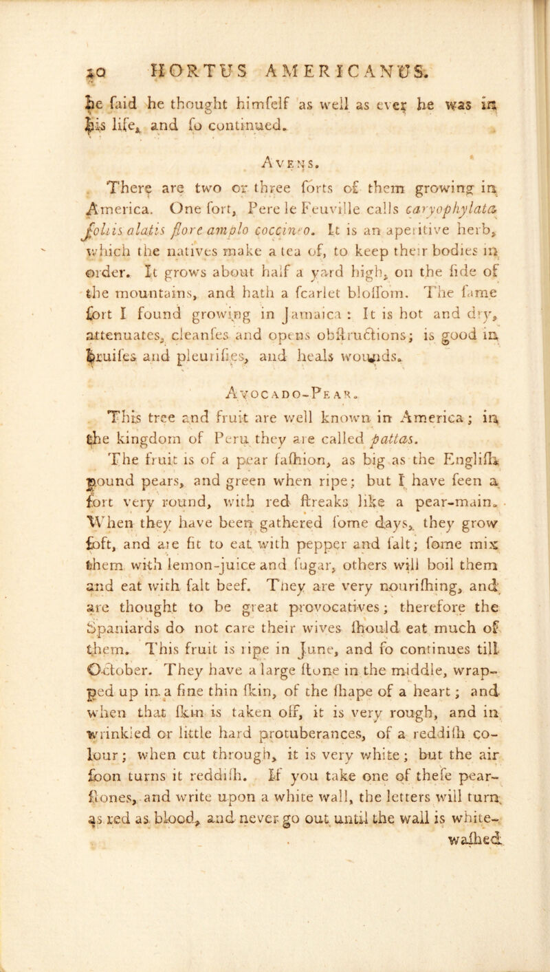 HORTUS A M ER IC ANCrS. 4Q lie faid he thought himfelf as well as eve^ be was in |jis life* and fo cunlinued. A YENS. There are two oi' three forts of them growing ia America. One fort. Fere le Feuville calls caryophylata- Joins alatts> flore ample coccinao. it is an apeiitive herb* which the natives make a tea of, to keep their bodies in order. It grows about half a \o'^rd high* on the fide of the mountains, and hatii a fcariet blolfom. The lame fort I found growing in Jamaica : It is hot and dry* attenuates* cleanfes and opens obflrudlions; is good in, liiuiles and pleurifies, and heals woi^ids. Ayoc ado-Fe ARa This tree and fruit are well known in America; in ^le kingdom of Feru they are called pattas. The fruit is of a pear falhion, as big as the Englifc jiound pears, and green when ripe ; but I have feen a fort very round, with red ftreaks like a pear-main. When they have been gathered fome days* they grow foft, and aie fit to eat with pepper and fait; fome mix them with lemon-juice and fugar* others will boil them and eat with fait beef. Tney are very nourifhing, and are thought to be great provocatives; therefore the Spaniards do not care their wives IhouJd eat much oE them. This fruit is lipe in June, and fo continues till O-ctober. They have a large flone in the middle, wrap- ped up ia a fine thin Ikin, of the fbape of a heart; and when that fkin is taken off, it is very rough, and in wrinkled or little hard protuberances, of a reddilh co- lour ; when cut through, it is very white; but the air foon turns it reddifh. If you take one of thefe pear- iiones, and write upon a white wall, the letters will turn; as.red as. blood, and never go out until the wall is white-., waihed