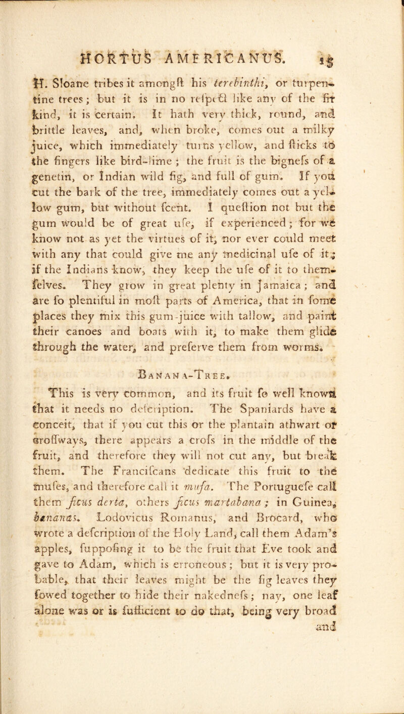 HORtilk AMF RIC ANUS. H. S!oane tribes it amongfi: his terebinthi^ or ttirpeii^ tine trees ; but it is in no reiptbl jibe any of the lit kind, it is Certain; It hath very thick, round, and brittle leaves, and, when broke, comes out a milky juice, which immediately turns yellow, and flicks tiES the fingers like bird-lime ; the fruit is the bignefs of a genetin, or Indian wild fig, and full of gum. If yod cut the bark of the tree, immediately comes out a yeU low gum, but without fceiit. I queftion not hut the gum would be of great ufe. If experienced; for know not as yet the virtues of it; nor ever could meet with any that could give me any medicinal ufe of it^ if the Indians know, they keep the ufe of it to them- felveSa They grow in great plenty in Jamaica; and are fo plentiful in mofi parts of America, that in fome places they mix this gum-juice wuth tallow, and paint their canoes and boats with it, to make them glide through the water, and preferve them from wormSi - B A N AN A-T REE. This is very common, and its fruit fe well knowil that it needs no delctiption. The Spaniards have a conceit, that if you cut this or the plantain athwart of Qroffways, there appears a crofs in the middle of the fruit, and therefore they wdll not cut anv, but bieafe them. The Francifeans 'dedicate this fruit to the rnufes, and therefore call it mufa. The Portuguefe call them ficus derta, others feus •martahana ; in Guinea,; hAiianas^ Lodovicus Romanus, and BrOcard, who wrote a defeription olthe Holy Land, call them Adames apples, fuppofing it to be the fruit that f>e took and gave to Adam, which is erroneous ; but it is very pro*^ bable,. that their leaves might be the fig leaves they fowed together to hide their nakednefs; nay, one leaf alone was or is futiicient to do that, being very broad