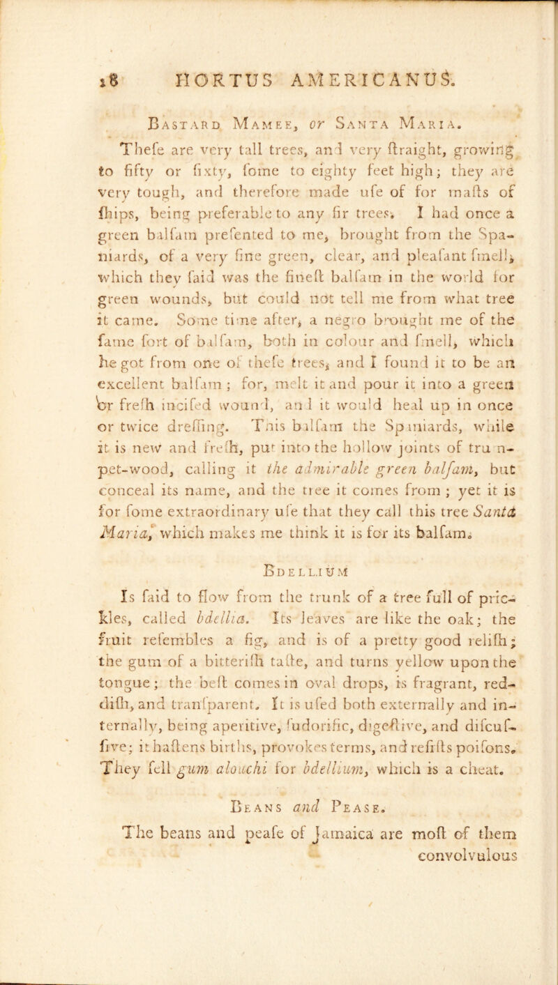 HORTUS AAiER’ICANUl Bastard Mamee, or Santa Maria. Thefe are very tall trees, an l very ilraight, growing to fifty or (ixty, forne to eighty feet high; they are very tough, and therefore made ufe of for rnafls of Blips, being preferable to any fir trees-. I had once a green ballain prefented to me, brought from the Spa- niards, of a very line green, clear, and pleafant fmell, which they faid was the finefi: baHain in the world for green wounds, but could not tell me from what tree it came. Some time after, a negio b'*ought me of the fame fort of b ilfam, both in colour and fineil, which begot from one of thefe trees, and I founi it to be an excellent balfam; for, melt it and pour it into a green W frelh iiicifed woun i, an I it would heal up in once or twice drefhng. Tnis bilfarn the Spmiards, while it is new and frelh, put into the hollow joints of tru n- pet-wood, calling it the admirable green balfaniy but: conceal its name, and the tree it comes from ; yet it is for fome extraordinary ule that they call this tree Santd Maria, which makes me think it is for its balfam^ B'DE LL.IUM Is faid to flow from the trunk of a tree full of pric- kles, called bdcllia. Its leaves are like the oak; the fruit refembles a fig, and is of a pretty good relifli; the gum of a bitterifh talfe, and turns yellow upon the tongue; the befl comes in oval drops, is fragrant, red- diQi, and Lraiifparent. It is ufed both externally and in- ternally, being aperitive, Sudorific, digeflive, and difeuf- five; ithahens births, provokes terms, and refills poifons. They fell gum alouchi for hdelliim, which is a cheat. Beans and Pease. The beans and peafe of Jamaica are mofl of them convolvulous i