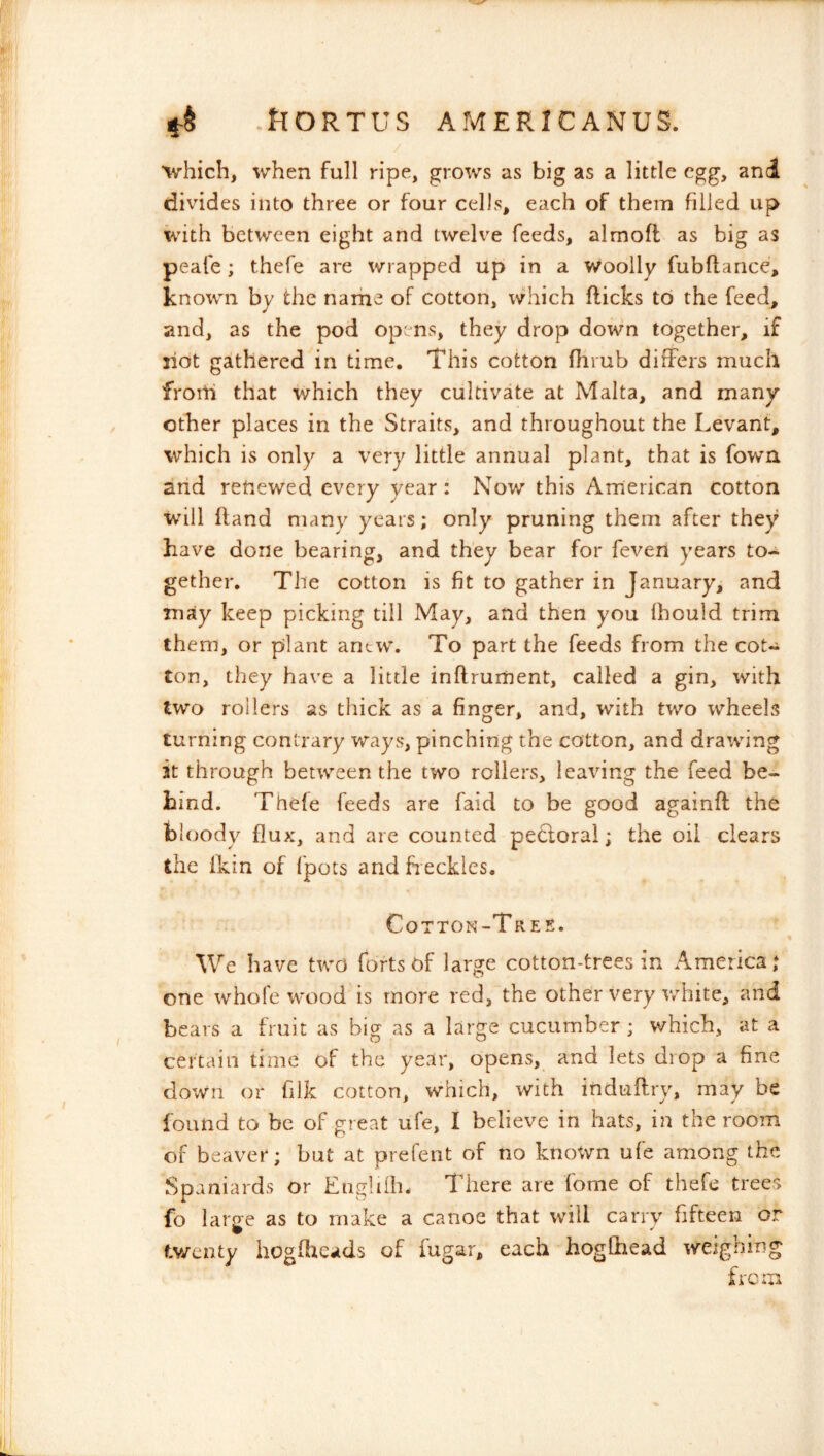 ■which, ■when full ripe, grows as big as a little egg, and divides into three or four cells, each of them filled up with between eight and twelve feeds, almofl as big as peale; thefe are wrapped up in a woolly fubflance, known by the narhe of cotton, which flicks to the feed, and, as the pod op'ms, they drop down together, if riot gathered in time. This cotton fhrub differs much frorti that which they cultivate at Malta, and many other places in the Straits, and throughout the Levant, which is only a very little annual plant, that is fowa arid renewed every year: Nov/ this American cotton will (land many years; only pruning them after they have done bearing, and they bear for feven years to- gether. The cotton is fit to gather in January, and may keep picking till May, and then you Ihould trim them, or plant anew. To part the feeds from the cot- ton, they have a little inftrurnent, called a gin, with two rollers as thick as a finger, and, with two wheels turning contrary ways, pinching the cotton, and draiving it through between the two rollers, leaving the feed be- hind. Thefe feeds are faid to be good againft the bloody flux, and are counted pe6loral; the oil clears the fkin of fpots and fieckles. Cotton-Tree. We have two forts of large cotton-trees in America; one whofe wood is more red, the other very v/hite, and bears a fruit as big as a large cucumber ; which, at a certain time of the year, opens, and lets drop a fine down or filk cotton, which, with induflry, may be found to be of great ufe, I believe in hats, in the room of beaver; but at prefent of no known ufe among the Spaniards or Engliilu There are fome of thefe trees fo large as to make a canoe that will carry fifteen or tv/enty hogOaeads of fugar, each hoglhead weighing frem