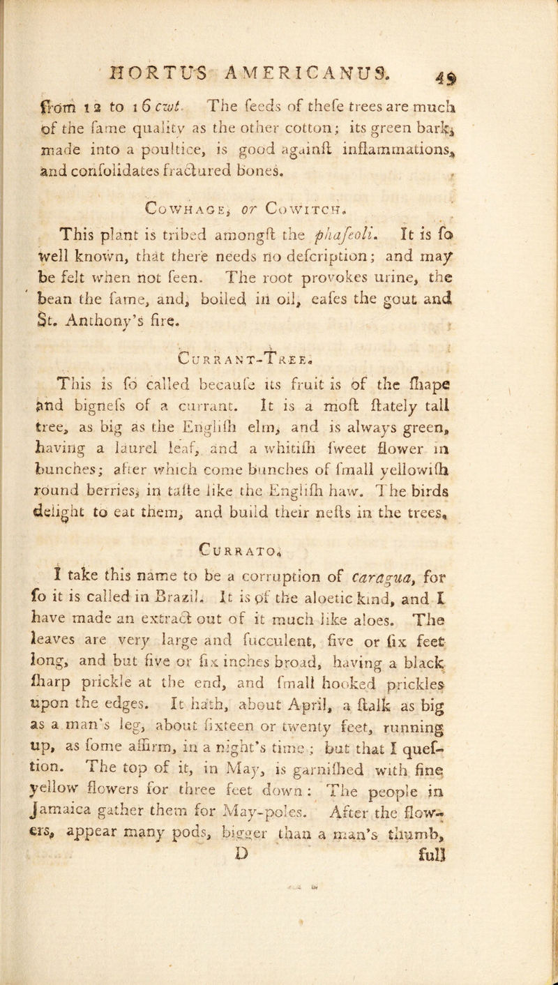 from 12 to 1 6 czot. The feeds of thefe trees are much of the fame quality as the other cotton; its green barl^^^ made into a poultice, is good againil infiamrnationsj^ and confoiidates fraclured Bones. , Cov/HAGEi or Cowitch. ’ This plant is tribed amongft t\iQ phafioh. It is fa well knov/n, that there needs no defcription; and may be felt vyhen not feen. The root provokes urine, the bean the fame, and, boiled, ill oil, eaies the gout and St. Anthony’s fire. Curran t-T re e. T his Is fo called becaufe its fruit is of the Hiape ^nd bignefs of a currant. It is a moil ftately tall tree, as big as the EnglHb elm, and is always green, having a laurel leaf, and a whidili fweet flower in bunches; after which come bunches of finali yeilowifh round berries;; in lafte like the Englifh haw. The birds delight to eat them, and build their nefts in the trees, CURR ATO4 I take this name to be a corruption of Cardgnay for fo it is called in Brazil. It is pf the aloetic kind, and I have made an extracf out of it much like aloes. The leaves are very large and fucculent, five or fix feet long, and but five or fix inches broad, having a black fharp prickle at the end, and fmail hooked prickles upon the edges. It hath, about April, a ilalk as big as a man s leg, about fixteen or t^wenty feet, running up, as fome affirm, in a night’s time ; but that I quef« tion. The top of it, in May, is garnifhed with fine yellow flowers for three feet down : The people in Jamaica gather them for May-poles. After the fiow« ers^ appear many pods, bigger than a man’s thumb, D ’ full