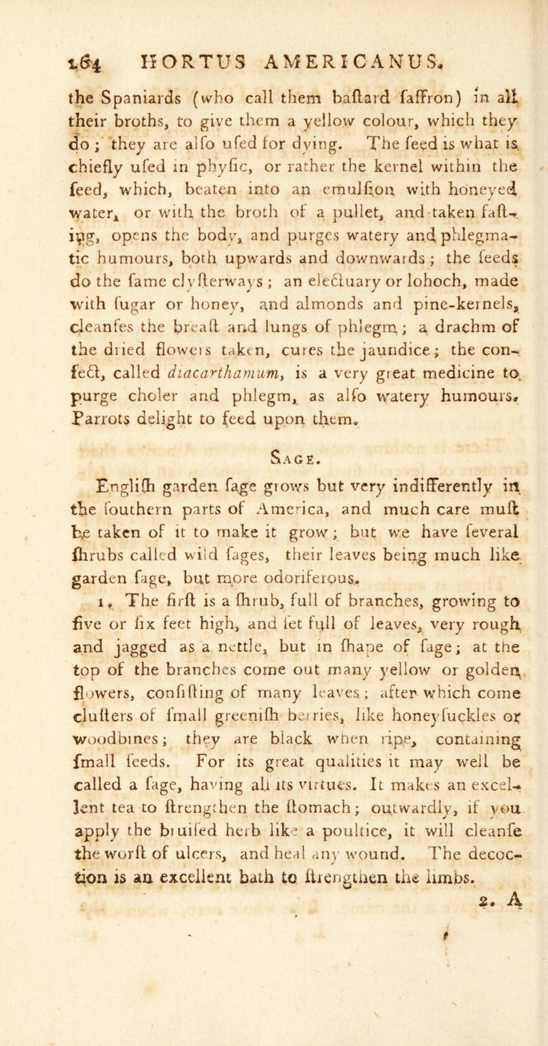 the Spaniards (who call them baflard faffron) in all their broths, to give them a yellow colour, which they, do ; they are alfo ufed tor dying. The feed is what is. chiefly ufed in phyfic, or rather the kernel within the / feed, which, beaten into an emultfon with honeyed water, or with the broth of a pullet, and-taken fafl-r, ii^g, opens the bodv, and purges watery and, phlegma- tic humours, both upwards and downwards; the feeds do the fame clvfterways ; an elehluary or lohoch, made whth fugar or honev, and almonds and pine-kernels, cleanfes the breatl and lungs of phlegm; a drachm of the dried floweis taken, cures the jaundice; the con- feQ, called diacartharnum^ is a very great medicine to, purge choler and phlegm, as alfo watery humours# Parrots deli.ght to feed uppri them, Sage. Englifh garden fage giov/s but very indifferently in the fouthern parts of America, and much care mufl b,e taken of it to make it grow; hut we have feveral flirubs called wild fages, their leaves being much like garden fage, but more odorifeipus, 1, The firft is a flirub, full of branches, growing to five or fix feet high, and fet full of leaves, very rough, and jagged as a nettle, but in fhape of fage; at tbe top of the branches corne out many yellow or goldei^^ flowers, confifling of many leaves; after which come clulters of fmall greenifh betries, like honeyfuckles or woodbines; they are black when ripe, containing fmall feeds. For its great qualities it may well be called a fage, having ah its virtues. It makes an excel- lent tea to flrengthen the llomach; outwardly, if you apply the biuifed herb like a poultice, it will cleanfe tbe worfl of ulcers, and heal duy wound. The decoc- tion is aa excellent bath to lirengtaen the limbs. 2. A i t