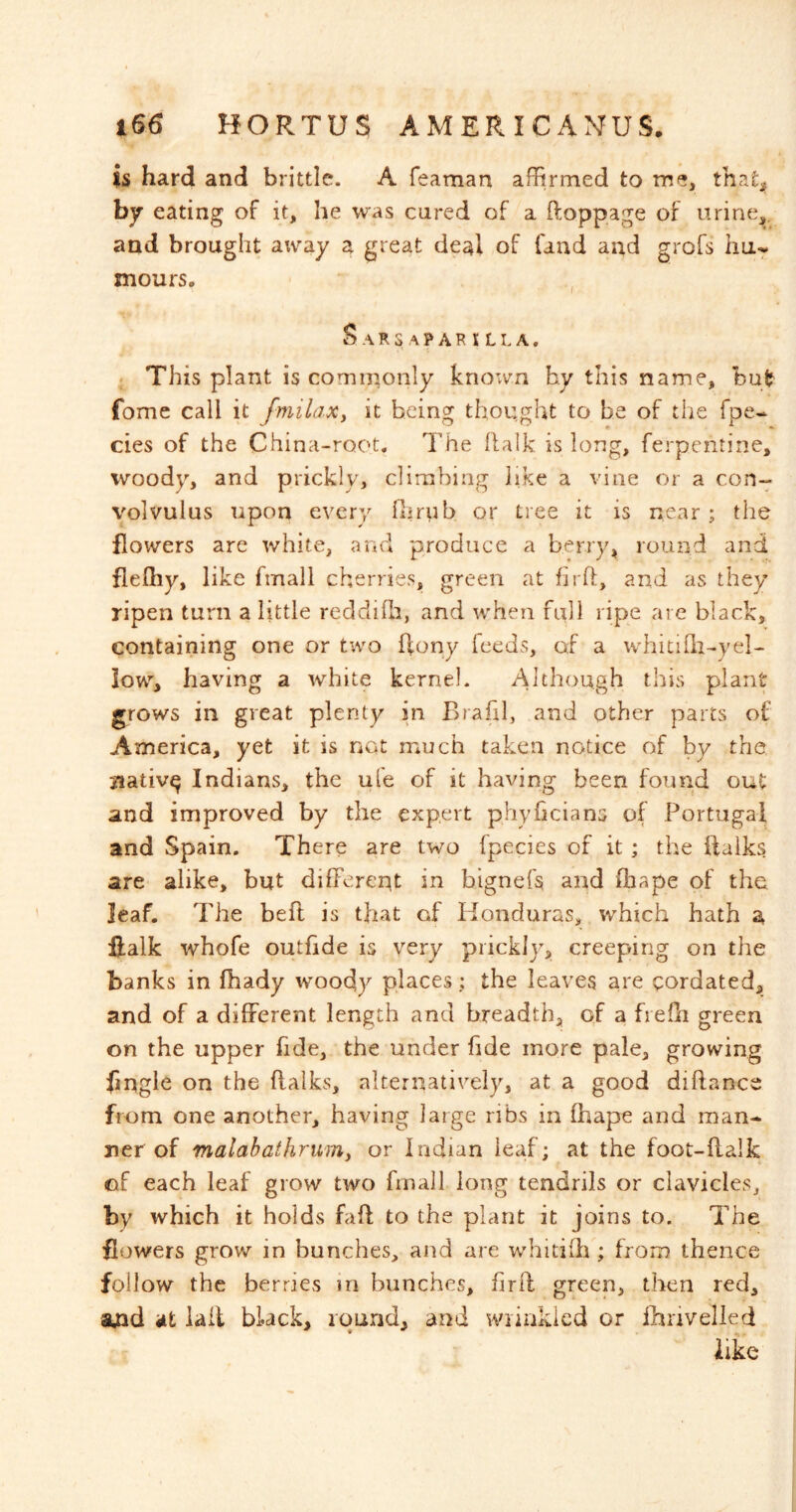 is hard and brittle. A feaman affirmed to me, that^ by eating of it, he was cared of a ftoppage of urine,, and brought away a great deal of fand and grofs mours. , Sarsaparilla. ? This plant is commonly known hy this name, but? fomc call it fmilaXy it being thought to be of the fpe- cies of the China-root. The Ralk is long, ferpentine, woody, and prickly, climbing like a vine or a con- volvulus upon every fhrub or tree it is near; the flowers are white, and produce a berry, round and flefliy, like fmall cherries, green at firO:, and as they ripen turn a little reddifli, and when full ripe are black, containing one or two flony feeds, of a whitiQi-yel- iow, having a white kernel. Although this plant grows ill great plenty in Brahl, and other parts of America, yet it is not much taken notice of by the nativ^ Indians, the ufe of it having been found out and improved by the expert phyheians of Portugal and Spain. There are two Ipecies of it; the ftalks are alike, but different in bignefs and fhape of the leaf. The beff is that of Honduras, which hath a ftalk whofe outfide is very prickly, creeping on the hanks in fbady woody places; the leaves are eordated, and of a different length and breadth, of a frefli green on the upper fide, the under hde more pale, growing Jingle on the ftalks, alternatively, at a good diftance from one another, having large ribs in ftiape and man^ ner of malabathrumy or Indian leaf; at the foot-ftalk of each leaf grow two fmall long tendrils or clavicles, by which it holds faft to the plant it joins to. The flowers grow in bunches, and are whitifti; from thence follow the berries in bunches, fir ft green, tlien red, amd iifc iail black, round, and wrinkled or Ihrivelled
