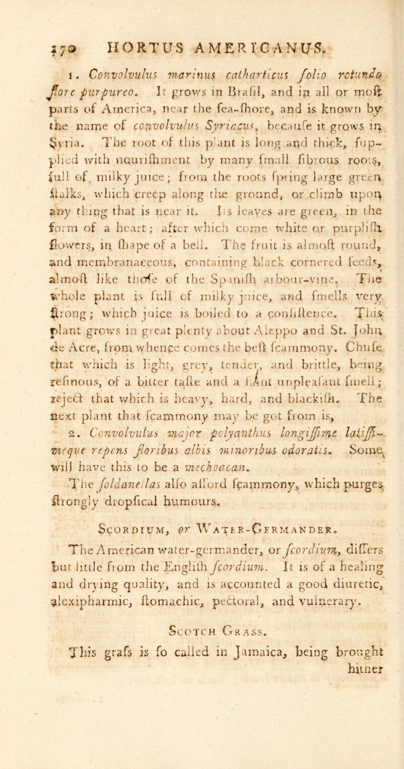 1. Convolvuhis niarinus catharticm folio rotunda fore pur pur eo. It grows: in Brafil, and ip all or moft parts of America, near the fea-piore, and is known by the name of convolvulus Syriacus^ becaufe it grows ii| §yvia. The root of this plant is ]o?jg and thick, fup- pliovd with nQurinimcnt by many frnali fibrous roots, {uli et\ milky juice; fioui the roots fpring large green ilalks, wlijch creep along tlie ground, or climb upoiy any thigg that is near it. lis leayes are green, irr the form of a heart; after which come tvhite oj purphdl flowers, iri Oiape of a bell. The fruit is almoft round, and membranaceous, containing black cornered {eeds, almod like tiuTfe of the Spinifh aibour-vineo Tiie whole plant is full of milky juice, and frnells x^cry firong; which juice is boiled to a conlifience. This- plant grov/s in great plenty about Aleppo and St. Johii de xAicre, from whence comes the bell fcarnmony. Chufe. that which is light, grey, lender, and brittle, being refinous, of a bitter taffe and a frint unplealant fineli; zc-jebf that which is heavy, hard, and biackifli. The next plant that fcarnmony may he got from is, 2. Convolvulus major pclyanthus longifimc ticqve repens forihus alhis 7ninorihus odoraiis. Some^ iviil have this to he a mechoacan. The Joldanedas alfo atlord fcarnmony^ which purges^ flrongly diopfical humours, ScORpiUM, or W ATC R-CeRM AN DERo The American water-germander, or fcordium, difTers but little from tiie Eugliih fcordium. It is of a healing and drying quality, and is accounted a good diuretic, ;?Icxipharrnic, flomachic, pectoral, and vulnerary. Scotch Grass. Tills grafs is fo called in Jamaica, being brought hfiner