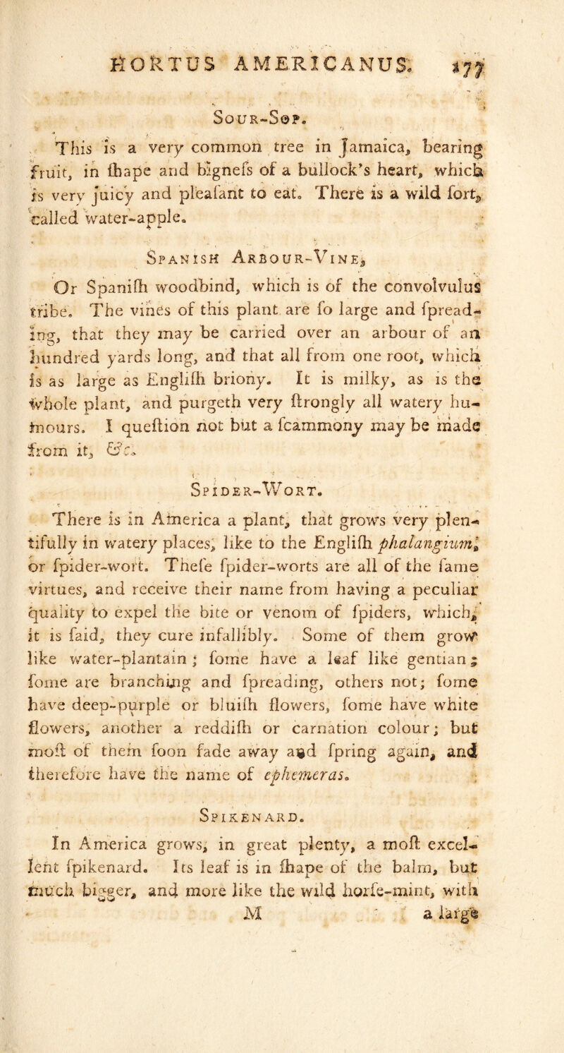 m, >»-■ SOUR-S0P. , This is a very common tree in Jamaica, bearing fruit, in fhape and blgnefs of a bullock’s heart, whicia is very juicy and preafant £0 eab There is a wild fort^ called water-apple. Spanish Arbour-Vine^ Or Spanilh woodbind, which is of the convolvulus tribe. The vines of this plant are fo large and fpread- ing, that they may be carried over an arbour of an hundred yards long, and that ail from one root, which Is as large as Englilh briony. It is milky, as is the Ivvhole plant, and purgeth very ftrongly all watery hu- tnours. I queflion not but a fcammonj may be made from it, Spider-Wort. There is in America a plant, that grows very p]en-» tifully in v/atery places; like to the Englilh phalangimnl or fpider-woit. Thefe fpider-worts are all of the fame virtues, and receive their name from having a peculiar quality to expel the bice or venom of fpiders, which; it is faid, they cure infallibly. Some of them grow like water-plantainfome have a leaf like gentian ^ fome are branchijig and fpreading, others not; fome have deep-purple or bluifh flowers, fome have white flowers, another a reddifli or carnation colour; but mod of them foon fade away aigd fpring again^ and therefore have the name of ephemeras^ Spikenard. In America grows, in great plenty, a mofi; excel- lent fpikenard. Its leaf is in fhape of the bairn, but: iruch bigger, and more like the wild liorfs-mint, with M ' ' a larg®