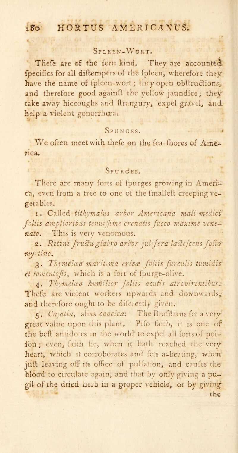 < Spleen-Wort. Tliefe are of the fern kind. They are accounte’i fpecifics for all diflempers of the fpleen, wherefore they have the name of fpleen-wort; they open obllruclions,; and therefore good againff the yellow jaundice; they take away hiccoughvS and flrangury, expel gravel, anX help' a violent gonorfheeai Sponges. We often meet with thefe on the fea-hiores of Arne^ rica* Spurge?. There are many forts of fpurges growing in Ameri- c^a, evtn from a tree to one of the fmalleff creeping ve- getables. 1. Called tithymalus arbor Americana mail medici foliis ampliorihus tenuijjime. crenatis Jucco maxime vene^ nato. This is very venomous. 2. RiC1.ni fruclu glabro arby)r juiifera'la'clejeens folio' my tino, 3. Thymelccti maritiraa ericce foliis furculis tiimidis' et tomentofiSj which h a fort of fpurge-olive. 4. Thymeloea huriidlior foliis acutis atrovirentihus. Thefe are violent workers upwards and downwards,*, and therefore ought to be dilcrectiy given. 5'. Ca'^atiay cAvas, caacvcai Ihie Braiihans fet a ^'ery' great value upon this plant. Pifo faith, it is one of the beff antidotes in the world’ to expel all ions of poi- Ibn ; even, faith he, wdien it hath reached the very heart, which it conqborates and lets a^beating, wheti jufl leaving off its office of puliation, and caufes the blood’to circulate again, and that by only giving a pu- gii of the dried lieib in a proper vehicle, or by givin|^ the
