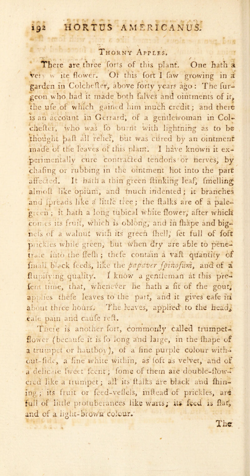 Thorny Apples. ^ ^ f * » •r - * , ** There are three forts of this plant. One hath a . Vei' \v ite flower. Ot this fort I faw growing in a garden in Colcheflery above forty years ago : The fur- geon who had it made both falves and ointments of it, the ufe of which gained him. much credit; and there is an account in Geriard; of a gentlewoman in Col- chehef, who wms , fo burnt wdth lightning as to be thought {aafl all relief but was cured by an ointment ina'de of' the leaves o[ this plant. I have known it ex- .perimehtally cure contrahled tendons or nerves, by chafing or rubbing in the ointment Hot into the part affected. It hath a thin green flinklng leaf, frhelling alrnofl like opium, and fnuch indented; it branches and Ipfeads like a' little tree; the flalks are of a pale- gueh ; it hath a long tubical white flower; after whichi ctiu.es its frm'b which is oblong, and in flikpe and big- pels of a w<iliiut with its green fhell; fet full of foft pnck'ies wlnle green, but ivben dry are able to pened tia.e into the ffefh ; thefe contain a vafl quantity of fniali black feeds, like the papdver fpihofitvi^ and of a flunifying quality. I know a gentleman at this pred lent time, that, whenever he hath a fit of t'he gout, a|)ph‘es thefe leaves to the pait, and it gives eafe iu aherut three hours; 7'he leaves, applied' to head;; ea(e pain and caufe reft. Tncie is another fort, commordy called trumpet- flower (bec.'uifc it is fo long and laige, in the fliape of a trumpet or hautben j, of a line purple colour withd cut-lidc, a fine v/hite witinn, as loft as velvet, and of a cielicaie Iwct t feent; fome of them are double-llotvd' eicd like a trumpet; all its Italks are black and fliin- ing ;■ its fruit or feed-veOeis, initead of prickles, are full of little protuberances like wans; its feed is flat; and of a light-brov/ii^ colour/ The.