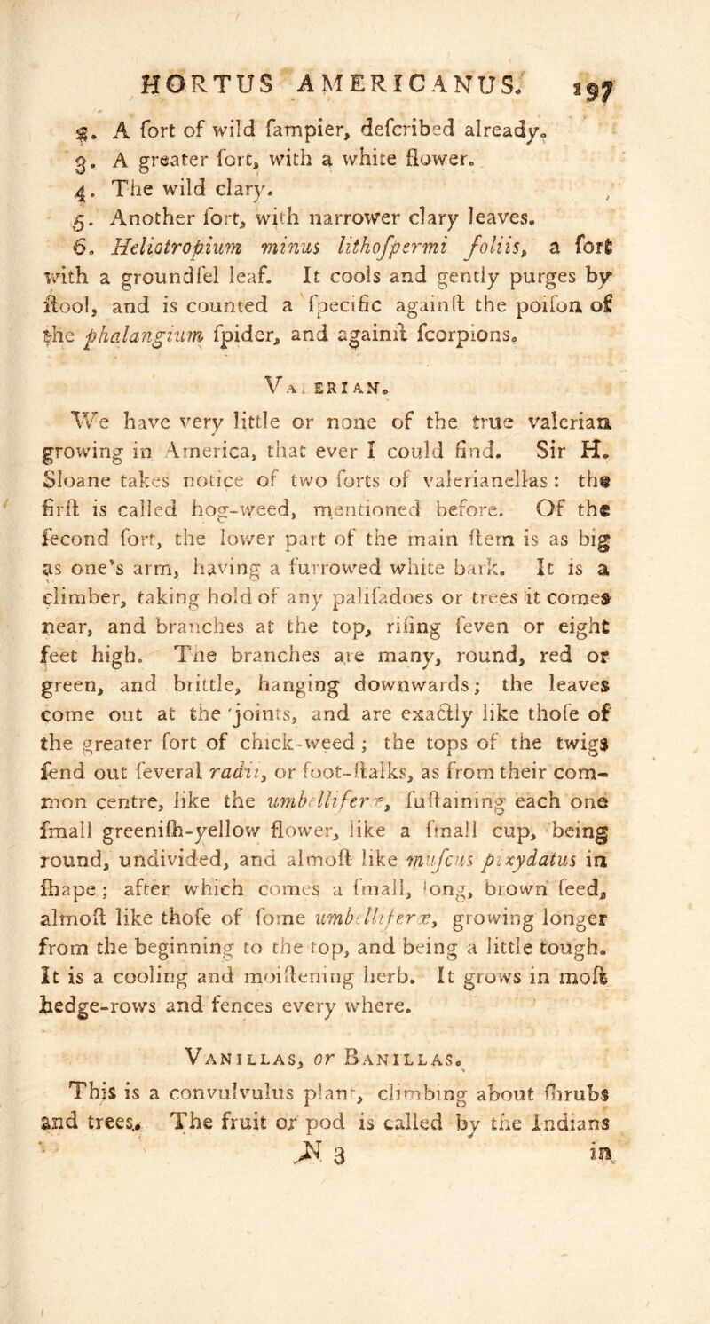 A fort of wild fampier, defcribed already« 3, A greater fort^, with a white flower. The wild clary. Another fort^ with narrower clary leaves. 6. Heliotropium minus lithofpermi foliis, a for£ with a groundfel leaf. It cools and gently purges by* iloolj and is counted a fpecific againll the poifon of ^he phalangium fpider, and againil fcorpions. V.\. ERi Ajvr. We have very little or none of the true valerian. ¥ growing in \inerica, that ever I could find. Sir H. Sloane takes notice of two forts of valerianellas : th@ firil is called hog-tyeed, mentioned before. Of the fecond fort, the lower part of the main flern is as big as one's arm, having a furrowed white bark. It is a climber, taking hold of any palifadoes or trees it comes near, and branches at the top, riling feven or eight feet high. Tne branches are many, round, red or green, and brittle, hanging downwards; the leaves come out at the 'joints, and are exaclly like thofe of the greater fort of chick-weed ; the tops of the twigs fend out feveral radni^ or foot-ilalks, as from their com- mon centre, like the umbellifer r^ fuRaining each one fmall greenifh-yellow flower, like a final I cup, being round, undivided, and aimoft like mufem pixydatus ia fhape ; after which comes a fmail, ‘ong, brown feed^ alrnofl like thofe of forne umbdliferXy growing longer from the beginning to the top, and being a little tough. It is a cooling and moiRening iierb. It grows in moft hedge-rows and fences every where. Vanillas, or Banillas. This is a convulvulus planr, climbing about Rirubs and trees> The fruit or pod is called by the Indians M 3