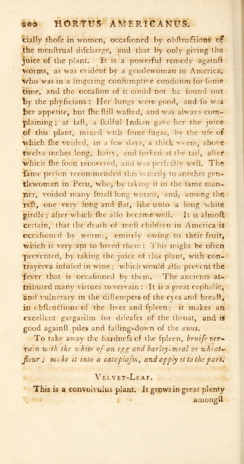 cially thofe in women, occafioncd by obftrn6lions of the menRrual difcharge, and that by only giving the juice of the plant. It is a powerful remedy againif worms, as was evident by a gentlewoman in America, who was in a lingering confhmpti'^e condiiion for feme time, and the occafion of it could not be found out ty the phyficians : Her lungs were good, and lo was her appetite, but fhc hill wafted, and was always com- plaining; at laft, a fkilful Indian gave her the jiuce of this plant, mixed with fome by the ufe of which fhe voided, in a tew days, a thick v/onn, above twelve inches long, haift , and forded at tl^e tail, after w^hich fhe foon recovered, and ivas perfcctlv well. The fame perfon recommended this rt n:edy to another gen- tlewoman in Peru, wh(', by taking it in the lame man- lier, voided many fmall long worms, and, among the. reft, one very long and- ftat, lilce unto a long white girdle ; after which fhe alfo became well. It is almoft; certain, that the death of moft children in America is occalioned by worms, entirely ovcing to their fruit, which is very apt to breed them : d'his might be often prevented, by taking the juice ot this plant, with con- tray erva infuled in wine ; which would alio prevent the fever that is occafioned by them. The ancients at- tributed many virtues to vervain : It is a great cephalic, and vulnerary in the diftempers of the eyes and breaft, in obftiuffions of the liver and fpleen; it makes an excellent gargarilm for difeafes of the throat, and its good againft piles and falling-down of the anus. To take away the hardnefs of the fpleen, bruife ver-* Tahi wHh the n kite of an egg and barley-meal or wheat*-; Jlour ; make it into a catoplajniy and apply it to the park Velvet-Leaf. This is a convolvulus plant. It grows in great plenty amongft