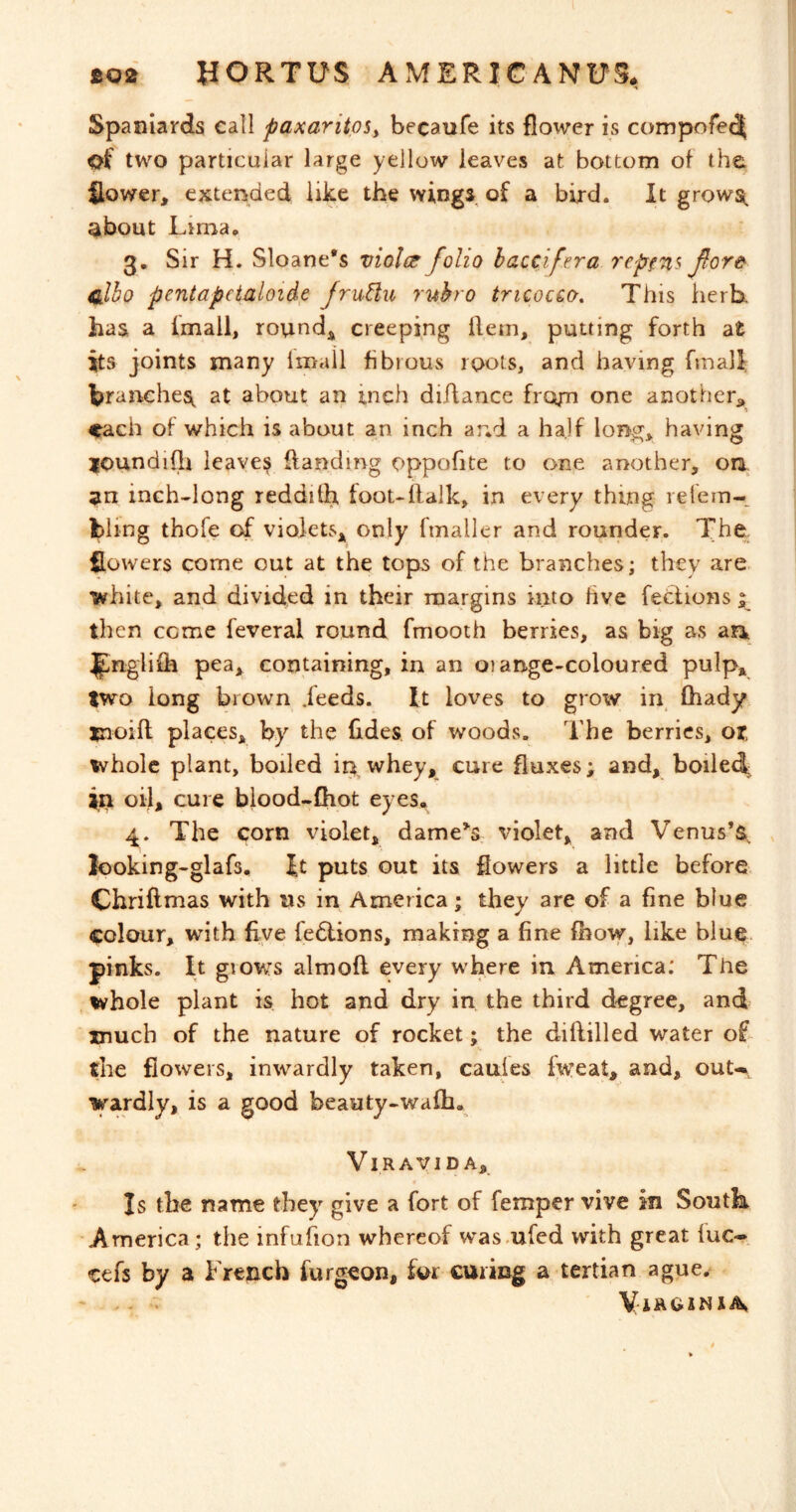 Spaniards call paxaritps^ becaufe its flower is corrjpofe(| of two particular large yellow leaves at bottom of the. flower, extended like the wings of a bird. It grows( ^bout Lima. 3, Sir H. Sloane's violet folio baccifira repfn^ fort 4jJ,ho pentapduloide Jrud,u ruhro tricocio. This herb, has a (mail, round, creeping Hem, putting forth at its joints many imall fibrous roots, and having fmall branehes^^ at about an inch diAance frojn one another^ each of which is about an inch and a half long, having IfOundifli leaver {landing oppofite to one another, oa^ inch-long reddith foouflalk, in every thing relem- bling thofe of violets, only fmaller and rounder. The flowers come out at the tops of the branches; they are. white, and divided in their margins into hve feclions; then come feveral round fmooth berries, as big as an, ^nglifh pea, containing, in an oiange-coloured pulp, two long brown deeds. It loves to grow in fhady tnoift places, by the fldes of woods. The berries, or. whole plant, boiled in whey, cure fluxes; and, boiled in oil, cure blood-£hot eyes. 4. The corn violet, darnels violet, and Venus’a^ looking-glafs, Jt puts out its flowers a little before Chriftmas with us in America; they are of a fine blue colour, with five fedlions, making a fine fhow, like blue, pinks. It glows almoft every where in America: The whole plant is hot and dry in the third degree, and much of the nature of rocket; the diflilled water oL the flowers, inwardly taken, caules fweat, and, out-*, wardly, is a good beaaty-walh. VlRAVIDA, Is the name they give a fort of Temper vive in South America ; the infufion whereof was.ufed with great fuc- cefs by a French furgeon, for curing a tertian ague. . - . VraoiNiA,