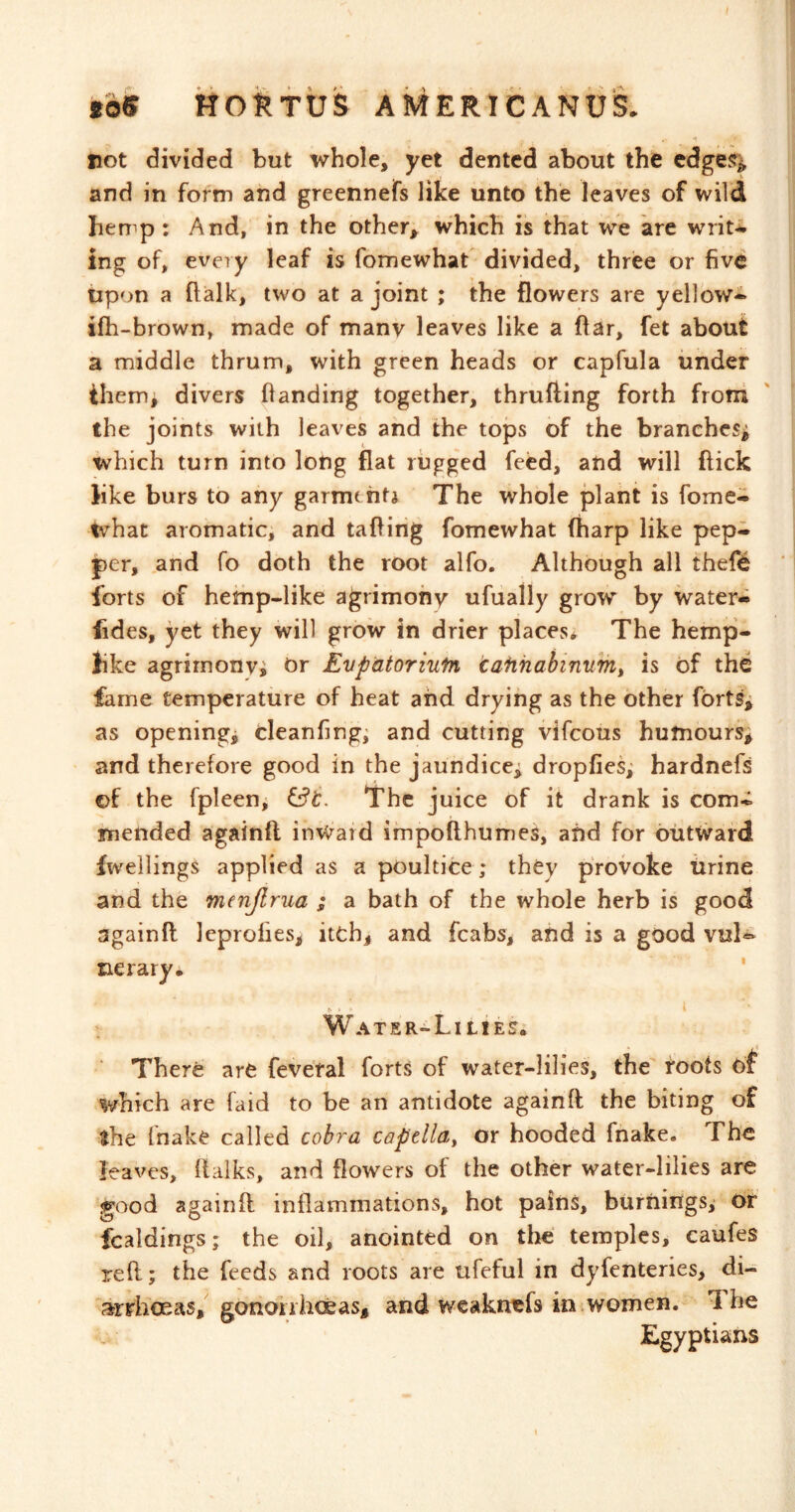 »o5 HOtTUS AivtERICANUS. not divided but whole, yet dented about the cdge% and in form and greennefs like unto the leaves of wild ben^p; And, in the other, which is that we are writ-i ing of, every leaf is fomewhat divided, three or five upon a ftalk, two at a joint ; the flowers are yellow-* ifh-brown, made of tnanv leaves like a ftar, fet about a middle thrum, with green heads or capfula under ihemj divers handing together, thrufting forth from the joints with leaves and the tops of the branches^ which turn into long flat rugged feed, and will flick like burs to any garments The whole plant is fome- tvhat aromatic, and tailing fomewhat (harp like pep- per, and fo doth the root alfo. Although all thelS forts of hemp-like agrimony ufually grow by ivater- fides, yet they will grow in drier places* The hemp- like agrirnonvi nr Evpdtorium taiihahinum^ is of the fame temperature of heat and drying as the other forts^ as openings cleanfing^ and cutting vifeous humours* and therefore good in the jaundice^ dropfies; hardnefs ©f the fpleenj The juice of it drank is com- mended againft inward impofthumes, and for outward fweilings applied as a poultice; they provoke tirine and the menjlrua ; a bath of the whole herb is good againft leprofies, itch* and fcabs, and is a good vul-^ nerary. ’ Water-Lilies. There are feveral forts of water-lilies, the foots of which are faid to be an antidote againft the biting of the fnake called cobra capdla, or hooded fnake. The leaves, (talks, and flowers of the other water-lilies are good againft inflammations, hot pains, burnings^ or fcaldings; the oil, anointed on tlie temples, caufes reft; the feeds and roots are ufeful in dyfenteries, di- arrhoeas, gonorrhoeas, and weaknefs in women. The Egyptians