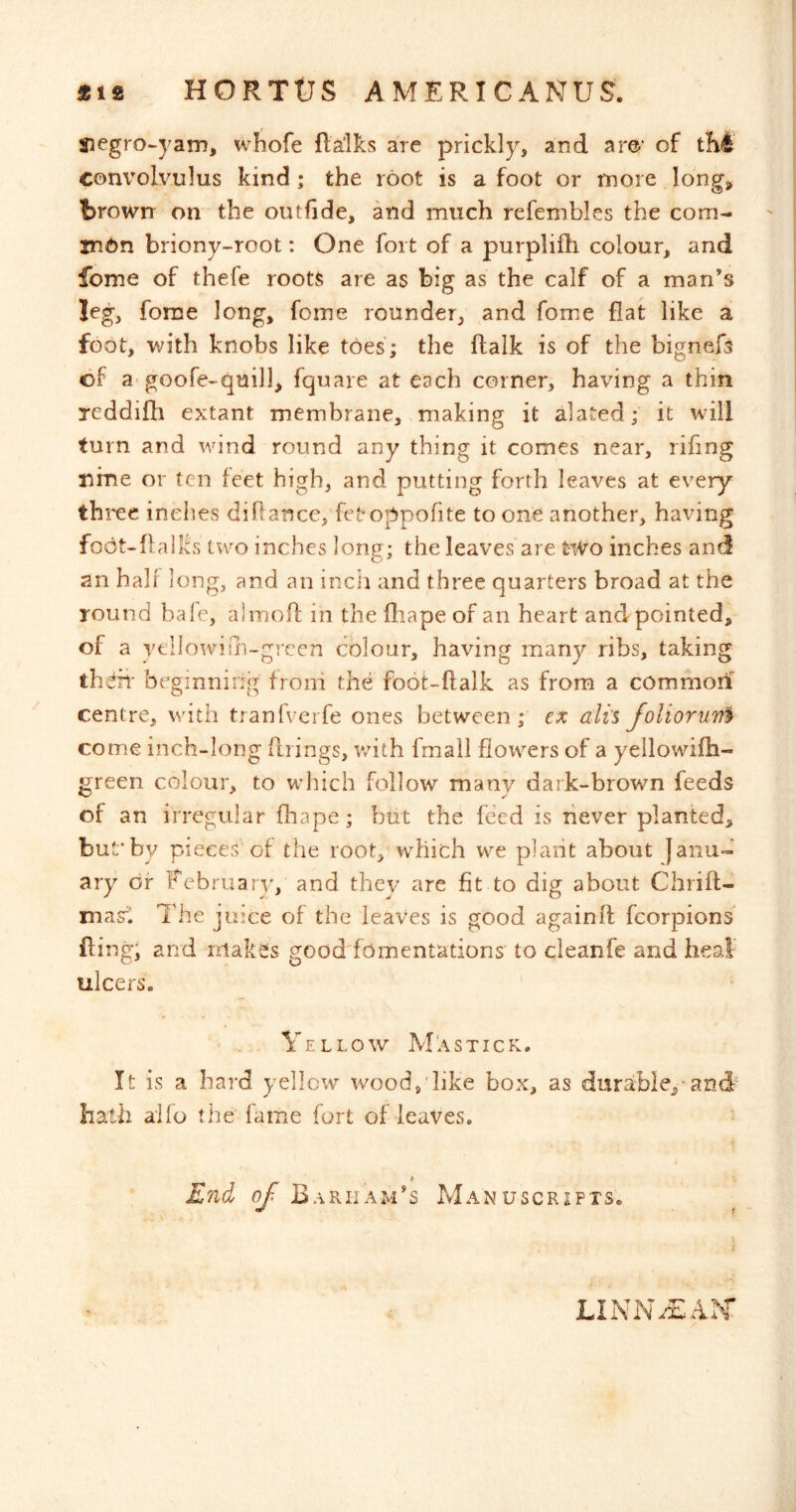 Siegro^yam, whofe fla'lks are prickly, and ar©‘ of tM com^olvulus kind; the root is a foot or more Idng^ browrr on the outfide, and much refembles the com- in^>n briony-root: One fort of a purplifh colour, and feme of thefe roots are as big as the calf of a man’s leg, fome long, fome rounder, and fome flat like a foot, with knobs like toes; the ftalk is of the bignefs of 3'goofe-quill, fquare at each corner, having a thin reddifh extant membrane, making it alated; it will turn and wind round any thing it comes near, rifing nine or ten feet high, and putting forth leaves at every thi*ee inches diflance, fetoppofite to one another, having fodt-flalks two inches long; the leaves are t-Wo inches and an half] ong, and an incli and three quarters broad at the round bale, almoft in the fliape of an heart and pointed, of a vellowirii-grcen colour, having many ribs, taking thdh' beginning froni the foot-ftalk as from a common centre, with tranfvei fe ones between ; ex ali'S foliorurf^ come inch-long firings, with fmall flowers of a yellowifh- green colour, to which follow manv dark-brown feeds of an irregular fhape ; but the feed is never planted, but'by pieces of the root, which we plant about Janu- ary of Fcbruaiy, and they are fit to dig about Chrift- mas! The juice of the leaves is good againfl fcorpions fling; and makeis good fomentations' to cleanfe and heal ulcers. Yellow Mastick. It is a hard yellow woodj like box, as durable,'and' hath alio the fame fort of leaves. End nj. Barham’s Manuscripts. LINN^EAX