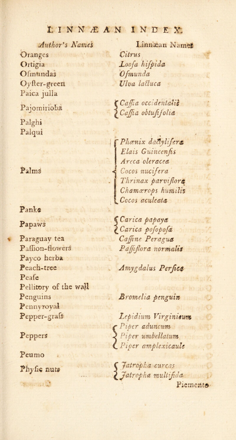 Author^s Na^nel Oranges Ortigia Ofiniindas Oyfter-green Paka julla Pajomiriobi Palghi Palqui Lihnaean Name! Citrus Loofa hifpida Ofmunda Viva laduca ^ Cajfia occidentatis ^Cajfia obtufijolia I Phcenix da^ylij€r& Elais Guineenjis ! Areca oleracea Palms ^ \ Cocos nuciftra j Thrinax parviflor& j Chamacrops humilis '^Cocos aculeate Pank^ Papaws C Carica papaya f^Carica pofopofd Paraguay tea Cajfine Ptragua Paffion-flowers P affijlor a norm alts Payco herba Peach-tree Amygdalus PcrfiC/t Peafe Pellitory of the wa}l Penguins O Bromelia penguin Pennyroyal Pepper-graft Lepidium Virginieum ^ Piper aduncum Peppers -< ^ Piper umbellatum ^ Piper amplexicaule Peumo Phylii; nuta 1 r Jatropha curcas f^^atropha mvdtijida Pienientd
