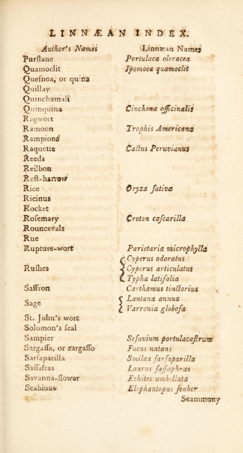 > Author*B Namet l^urflane Quamoclit Quefnoa,' or quini Linn^an Name$ Poriulaca oleracea J^omoea quamoclit Quillay Oil inch am all Quinquina Cinchona ojicinalii Ragwort Ramoon Rampionfj' Raquette Reeds ?• Reilbon Re ft-harrow Trophis Americand J t Cactus Pcruvid'du$ Rice Ricinus Qryza fafivc Rocket Rofemary Rounce Vais' Croton cajcarilla Rue Ruptute-wort Rufties Saffron Sage St. John's v*fort Solomon's feal Parietaria mkrophylla pCyperuB odoratus Cyperus articnlatut C Typha latifolia CarthamuB tinBoriui « C Lantana annua £ Varronia ghhofa \ Sampier Sargaffa, or z'argaffa Sarfaparilia Saffafras Savanna-flowsr Scabious^ Sefiivium portulacajlrm^ Fiicus natans Smilax farfaparilia Laubrus fajfaphrm Echites umbcllatd Ekphantopm Jcaher SGammWiy