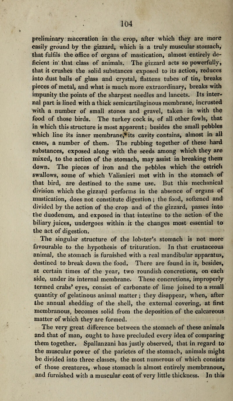 preliminary maceration in the crop, after which they are more easily ground by the gizzard, which is a truly muscular stomach, that fulfils the office of organs of mastication, almost entirely de¬ ficient in’ that class of animals. The gizzard acts so powerfully, that it crushes the solid substances exposed to its action, reduces into dust balls of glass and crystal, flattens tubes of tin, breaks pieces of metal, and what is much more extraordinary, breaks with impunity the points of the sharpest needles and lancets. Its inter¬ nal part is lined with a thick semicartilaginous membrane, incrusted with a number of small stones and gravel, taken in with the food of those birds. The turkey cock is, of all other fowls, that in which this structure is most apparent ; besides the small pebbles which line its inner membrane,’* its cavity contains, almost in all cases, a number of them. The rubbing together of these hard substances, exposed along with the seeds among which they are mixed, to the action of the stomach, may assist in breaking them down. The pieces of iron and the pebbles which the ostrich swallows, some of which Valisnieri met with in the stomach of that bird, are destined to the same use. But this mechanical division which the gizzard performs in the absence of organs of mastication, does not constitute digestion ; the food, softened and divided by the action of the crop and of the gizzard, passes into the duodenum, and exposed in that intestine to the action of the biliary juices, undergoes within it the changes most essential to the act of digestion. The singular structure of the lobster’s stomach is not more favourable to the hypothesis of trituration. In that crustaceous animal, the stomach is furnished with a real mandibular apparatus, destined to break down the food. There are found in it, besides, at certain times of the year, two roundish concretions, on each side, under its internal membrane. These concretions, improperly termed crabs* eyes, consist of carbonate of lime joined to a small quantity of gelatinous animal matter; they disappear, when, after the annual shedding of the shell, the external covering, at first membranous, becomes solid from the deposition of the calcareous matter of which they are formed. The very great difference between the stomach of these animals and that of man, ought to have precluded every idea of comparing them together, Spallanzani has justly observed, that in regard to the muscular power of the parietes of the stomach, animals might be divided into three classes, the most numerous of which consists of those creatures, whose stomach is almost entirely membranous, and furnished with a muscular coat of very little thickness. In this