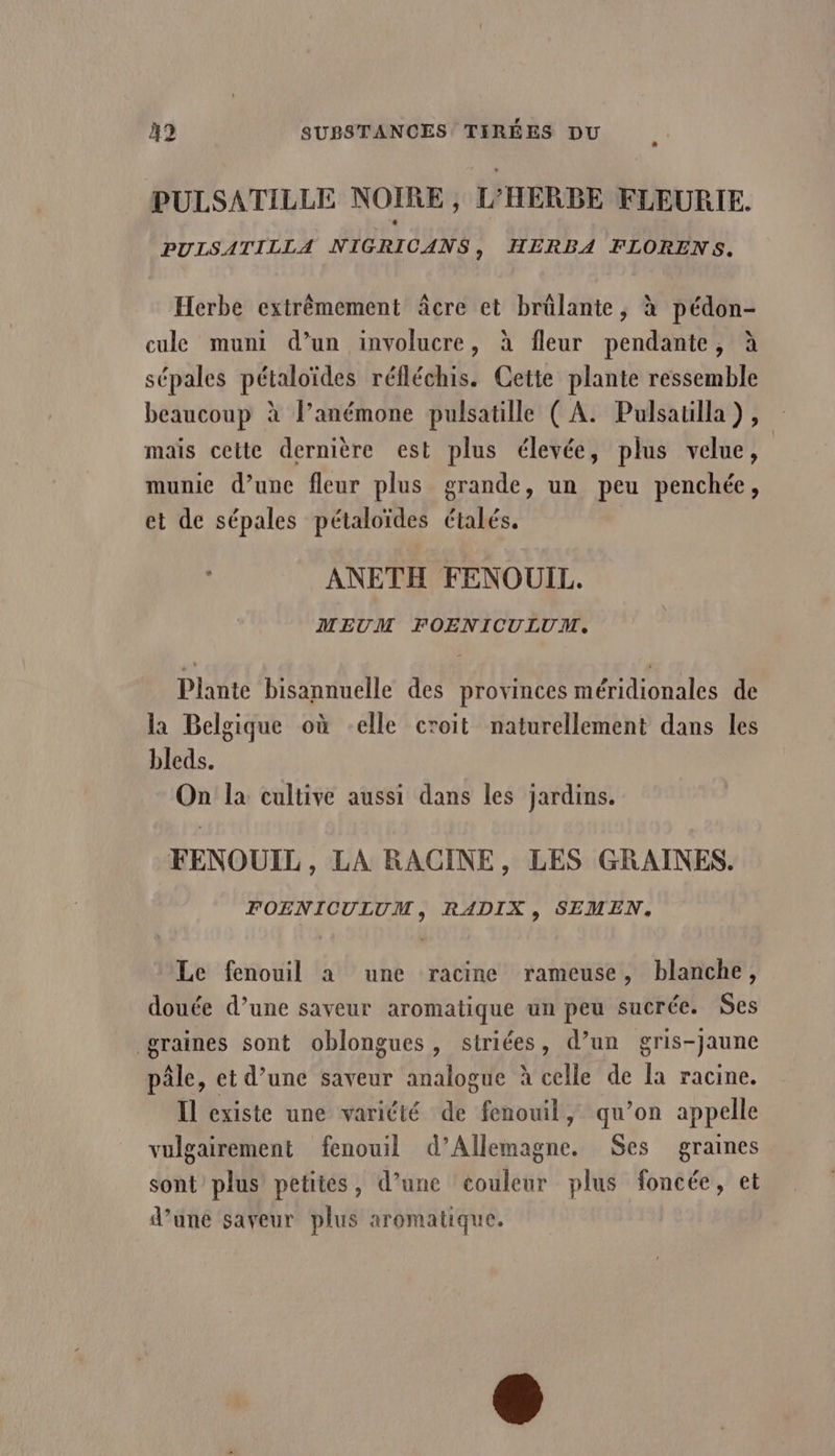 PULSATILLE NOIRE , L’HERBE FLEURIE. PULSATILLA NIGRICANS, HERBA FLORENS. Herbe extrêmement âcre et brülante, à pédon- cule muni d’un involucre, à fleur pendante, à sépales pétaloïdes réfléchis. Cette plante ressemble beaucoup à l’anémone pulsatille ( À. Pulsatilla), mais cette dernière est plus élevée, plus velue, munie d’une fleur plus grande, un peu penchée, et de sépales pétaloïdes étalés. ANETH FENOUIL. MEUM FOENICULUM, Plante bisannuelle des provinces méridionales de la Belgique où elle croit naturellement dans les bleds. On la cultive aussi dans les jardins. FENOUIL , LA RACINE, LES GRAINES. FOENICULUM, RADIX ,; SEMEN, Le fenouil a une racine rameuse, blanche, douée d’une saveur aromatique un peu sucrée. Ses graines sont oblongues, striées, d’un gris-jaune pâle, et d’une saveur analogue à celle de la racine. Il existe une variété de fenouil, qu’on appelle vulgairement fenouil d'Allemagne. Ses graines sont plus petites, d’une ‘couleur plus foncée, et d’une saveur plus aromatique.