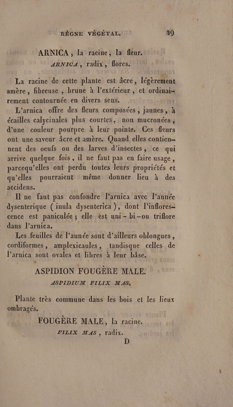 ARNICA , la racine, la fleur. ARNICA , radix, flores. La racine de cette plante est âcre, légèrement amère, fibreuse , brune à l’extérieur , et ordinai= rement contournée en divers sens. L’arnica offre des fleurs composées , jaunes, à écailles calycinales plus courtes, non mucronées., d’une couleur pourpre à leur pointe, Ces fleurs ont une saveur âÂcre et amère. Quand elles contien- nent des oeufs ou des larves d’insectes, ce qui arrive quelque fois , il ne faut pas en faire usage, parcequ’elles ont perdu toutes leurs propriétés et qu’elles pourraient même donner lieu à des accidens. Il ne faut pas confondre l’arnica avec l’aunée dysenterique ( inula dysenterica), dont l’inflores- cence est paniculée ; elle est uni - bi-ou triflore dans l’arnica. Les feuilles de l’aunée sont d’ailleurs oblongues , cordiformes, amplexicaules, tandisque celles de Parnica sont ovales et libres à leur bâse. ASPIDION FOUGÈRE MALE. ASPIDIUM FILIX MAS. Plante très commune dans les bois et les lieux ombragés. FOUGÈRE MALE, la racine. FILIX MAS, radix. D