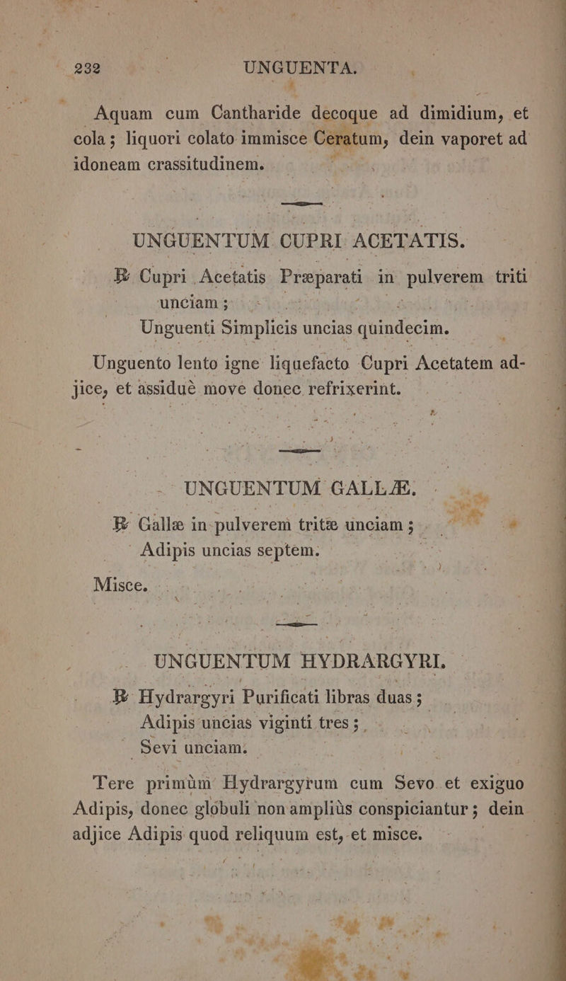 Ms Aquam cuin eine decoque ad eden) et cola liquori colato immisce Ceratum, dein venenet ad idoneam crassitudinem. aes UNGUENTUM CUPRI ACETATIS. B Cupri Acetatis Preparat in pelysten triti ‘unciam ; | Unguenti Simplicis uncias quindecim. Unguento lento igne liquefacto Cupri Acetatem ad- jice, et assidué move donec refrixerint. | uo -4 1 “ i =i t UNGUENTUM GALLE. B Galle in. pulverent trite unciam ; ne im &amp; _Adipis u uncias septem. Misce. —. 4 : x UN (GUENTUM HYDRARGYRI. Re Hydrargyri Purificati libras duas ; 5 Adipis: uncias viginti t tres 3 ‘Sevi unciam. Tere primim Hydrargyrum cum Sevo.et exiguo Adipis, donec globuli non ampliis conspiciantur; dein adjice Adipis quod reliquum est, et misce. 3 ee. Saye, , biel eda gs ae e