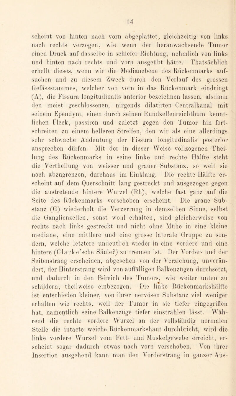 scheint von hinten nach vorn abgeplattet, gleichzeitig von links nach rechts verzogen, wie wenn der heranwachsende Tumor einen Druck auf dasselbe in schiefer Richtung, nehmlich von links und hinten nach rechts und vorn ausgeübt hätte. Thatsächlich erhellt dieses, wenn wir die Medianebene des Rückenmarks auf¬ suchen und zu diesem Zweck durch den Verlauf des grossen Gefässstammes, welcher von vorn in das Rückenmark eindringt (A), die Fissura longitudinalis anterior bezeichnen lassen, alsdann den meist geschlossenen, nirgends dilatirten Centralkanal mit seinem Ependym, einen durch seinen Rundzellenreichthum kennt¬ lichen Fleck, passiren und zuletzt gegen den Tumor hin fort¬ schreiten zu einem helleren Streifen, den wir als eine allerdings sehr schwache Andeutung der Fissura longitudinalis posterior ansprechen dürfen. Mit der in dieser Weise vollzogenen Thei- lung des Rückenmarks in seine linke und rechte Hälfte steht die Vertheilung von weisser und grauer Substanz, so weit sie noch abzugrenzen, durchaus im Einklang. Die rechte Hälfte er¬ scheint auf dem Querschnitt lang gestreckt und ausgezogen gegen die austretende hintere Wurzel (Rh), welche fast ganz auf die Seite des Rückenmarks verschoben erscheint. Die graue Sub¬ stanz (G) wiederholt die Verzerrung in demselben Sinne, selbst die Ganglienzellen, sonst wohl erhalten, sind gleicherweise von rechts nach links gestreckt und nicht ohne Mühe in eine kleine mediane, eine mittlere und eine grosse laterale Gruppe zu son¬ dern, welche letztere undeutlich wieder in eine vordere und eine hintere (Clarke’sche Säule?) zu trennen ist. Der Vorder- und der Seitenstrang erscheinen, abgesehen von der Verziehung, unverän¬ dert, der Hinterstrang wird von auffälligen Balkenzügen durchsetzt, und dadurch in den Bereich des Tumors, wie weiter unten zu schildern, theilweise einbezogen. Die linke Rückenmarkshälfte ist entschieden kleiner, von ihrer nervösen Substanz viel weniger erhalten wie rechts, weil der Tumor in sie tiefer eingegriffen hat, namentlich seine Balkenzüge tiefer einstrahlen lässt. Wäh¬ rend die rechte vordere Wurzel an der vollständig normalen Stelle die intacte weiche Rückenmarkshaut durchbricht, wird die linke vordere Wurzel vom Fett- und Muskelgewebe erreicht, er¬ scheint sogar dadurch etwas nach vorn verschoben. Von ihrer Insertion ausgehend kann man den Vorderstrang in ganzer Aus-