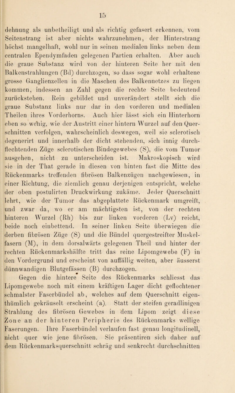 dehnung als unbetheiligt und als richtig gefasert erkennen, vom Seitenstrang ist aber nichts wahrzunehmen, der Hinterstrang höchst mangelhaft, wohl nur in seinen medialen links neben dem centralen Ependymfaden gelegenen Partien erhalten. Aber auch die graue Substanz wird von der hinteren Seite her mit den Balkenstrahlungen (Bd) durchzogen, so dass sogar wohl erhaltene grosse Ganglienzellen in die Maschen des Balkennetzes zu liegen kommen, indessen an Zahl gegen die rechte Seite bedeutend zurückstehen. Rein gebildet und unverändert stellt sich die graue Substanz links nur dar in den vorderen und medialen Theilen ihres Vorderhorns. Auch hier lässt sich ein Hinterhorn eben so wellig, wie der Austritt einer hintern Wurzel auf den Quer¬ schnitten verfolgen, wahrscheinlich deswegen, weil sie sclerotisch degenerirt und innerhalb der dicht stehenden, sich innig durch¬ flechtenden Züge sei erotischen Bindegewebes (S), die vom Tumor ausgehen, nicht zu unterscheiden ist. Makroskopisch wird sie in der That gerade in diesen von hinten fast die Mitte des Rückenmarks treffenden fibrösen Balkenzügen nachgewiesen, in einer Richtung, die ziemlich genau derjenigen entspricht, welche der oben postulirten Druckwirkung zukäme. Jeder Querschnitt lehrt, wie der Tumor das abgeplattete Rückenmark umgreift, und zwar da, wo er am mächtigsten ist, von der rechten hinteren Wurzel (Rh) bis zur linken vorderen (Lv) reicht, beide noch einbettend. Tn seiner linken Seite überwiegen die derben fibrösen Züge (S) und die Bündel quergestreifter Muskel¬ fasern (M), in dem dorsalwärts gelegenen Theil und hinter der rechten Rückenmarkshälfte tritt das reine Lipomgewebe (F) in den Vordergrund und erscheint von auffällig weiten, aber äusserst dünnwandigen Blutgefässen (B) durchzogen. Gegen die hintere Seite des Rückenmarks schliesst das Lipomgewebe noch mit einem kräftigen Lager dicht geflochtener schmälster Faserbündel ab, welches auf dem Querschnitt eigen- thiimlich gekräuselt erscheint (a). Statt der steifen geradlinigen Strahlung des fibrösen Gewebes in dem Lipom zeigt diese Zone an der hinteren Peripherie des Rückenmarks wellige Faserungen. Ihre Faserbündel verlaufen fast genau longitudinell, nicht quer wie jene fibrösen. Sie präsentiren sich daher auf dem Rückenmarksquerschnitt schräg und senkrecht durchschnitten