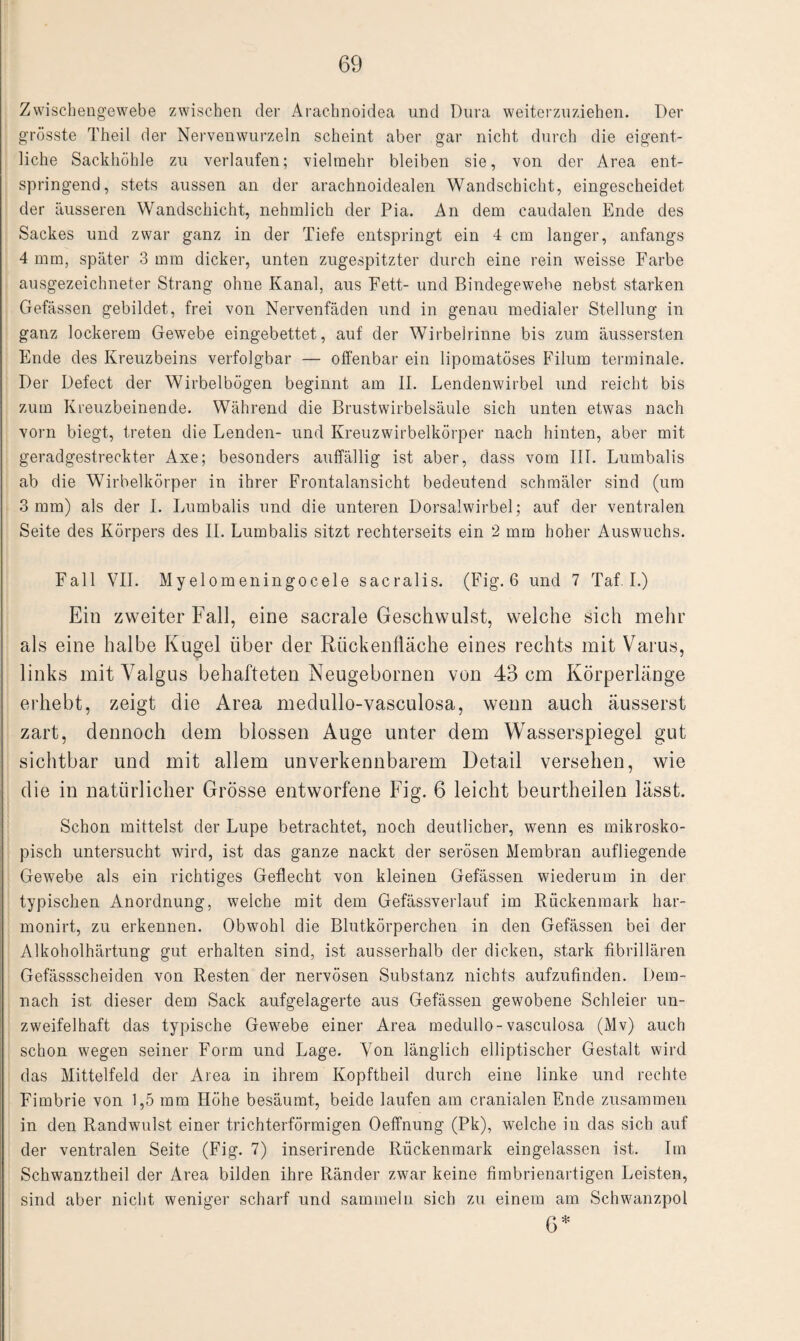 Zwischengewebe zwischen der Arachnoidea und Dura weiterzuziehen. Der grösste Theil der Nervenwurzeln scheint aber gar nicht durch die eigent¬ liche Sackhöhle zu verlaufen; vielmehr bleiben sie, von der Area ent¬ springend, stets aussen an der arachnoidealen Wandschicht, eingescheidet der äusseren Wandschicht, nehmlich der Pia. An dem caudalen Ende des Sackes und zwar ganz in der Tiefe entspringt ein 4 cm langer, anfangs 4 mm, später 3 mm dicker, unten zugespitzter durch eine rein weisse Farbe ausgezeichneter Strang ohne Kanal, aus Fett- und Bindegewebe nebst starken Gefässen gebildet, frei von Nervenfäden und in genau medialer Stellung in ganz lockerem Gewebe eingebettet, auf der Wirbelrinne bis zum äussersten Ende des Kreuzbeins verfolgbar — offenbar ein lipomatöses Filum terminale. Der Defect der Wirbelbögen beginnt am II. Lendenwirbel und reicht bis zum Kreuzbeinende. Während die Brustwirbelsäule sich unten etwas nach vorn biegt, treten die Lenden- und Kreuzwirbelkörper nach hinten, aber mit geradgestreckter Axe; besonders auffällig ist aber, dass vom III. Lumbalis ab die Wirbelkörper in ihrer Frontalansicht bedeutend schmäler sind (um 3 mm) als der I. Lumbalis und die unteren Dorsalwirbel; auf der ventralen Seite des Körpers des II. Lumbalis sitzt rechterseits ein 2 mm hoher Auswuchs. Fall VII. Myelomeningocele sacralis. (Fig. 6 und 7 Taf I.) Ein zweiter Fall, eine sacrale Geschwulst, welche sich mehr als eine halbe Kugel über der Rückenfläche eines rechts mit Varus, links mit Yalgus behafteten Neugebornen von 43 cm Körperlänge erhebt, zeigt die Area medullo-vasculosa, wenn auch äusserst zart, dennoch dem blossen Auge unter dem Wasserspiegel gut sichtbar und mit allem unverkennbarem Detail versehen, wie die in natürlicher Grösse entworfene Fig. 6 leicht beurtheilen lässt. Schon mittelst der Lupe betrachtet, noch deutlicher, wenn es mikrosko¬ pisch untersucht wird, ist das ganze nackt der serösen Membran aufliegende Gewebe als ein richtiges Geflecht von kleinen Gefässen wiederum in der typischen Anordnung, welche mit dem Gefässverlauf im Rückenmark har- monirt, zu erkennen. Obwohl die Blutkörperchen in den Gefässen bei der Alkoholhärtung gut erhalten sind, ist ausserhalb der dicken, stark fibrillären Gefässscheiden von Resten der nervösen Substanz nichts aufzufinden. Dem¬ nach ist dieser dem Sack aufgelagerte aus Gefässen gewobene Schleier un¬ zweifelhaft das typische Gewebe einer Area medullo-vasculosa (Mv) auch schon wegen seiner Form und Lage. Yon länglich elliptischer Gestalt wird das Mittelfeld der Area in ihrem Kopftheil durch eine linke und rechte Fimbrie von 1,5 mm Höhe besäumt, beide laufen am cranialen Ende zusammen in den Randwulst einer trichterförmigen Oeffnung (Pk), welche in das sich auf der ventralen Seite (Fig. 7) inserirende Rückenmark eingelassen ist. Im Schwanztheil der Area bilden ihre Ränder zwar keine fimbrienartigen Leisten, sind aber nicht weniger scharf und sammeln sich zu einem am Schwanzpol 6*