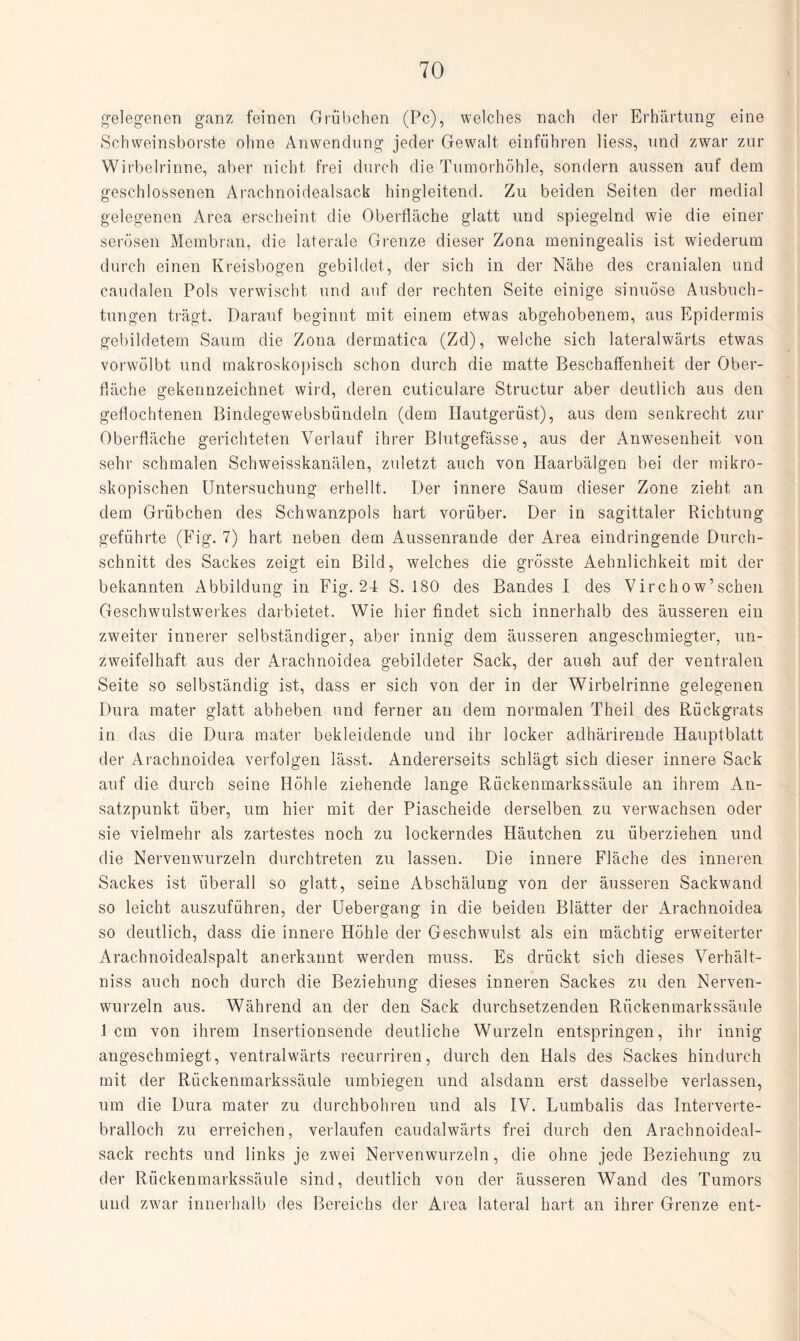 gelegenen ganz feinen Grübchen (Pc), welches nach der Erhärtung eine Schweinsborste ohne Anwendung jeder Gewalt einführen Hess, und zwar zur Wirbelrinne, aber nicht frei durch die Tumorhöhle, sondern aussen auf dem geschlossenen Arachnoidealsack hingleitend. Zu beiden Seiten der medial gelegenen Area erscheint die Oberfläche glatt und spiegelnd wie die einer serösen Membran, die laterale Grenze dieser Zona meningealis ist wiederum durch einen Kreisbogen gebildet, der sich in der Nähe des cranialen und caudalen Pols verwischt und auf der rechten Seite einige sinuöse Ausbuch¬ tungen trägt. Darauf beginnt mit einem etwas abgehobenem, aus Epidermis gebildetem Saum die Zona dermatica (Zd), welche sich lateralwärts etwas vorwölbt und makroskopisch schon durch die matte Beschaffenheit der Ober¬ fläche gekennzeichnet wird, deren cuticulare Structur aber deutlich aus den geflochtenen Bindegewebsbündeln (dem Hautgerüst), aus dem senkrecht zur Oberfläche gerichteten Verlauf ihrer Blutgefässe, aus der Anwesenheit von sehr schmalen Schweisskanälen, zuletzt auch von Haarbälgen bei der mikro¬ skopischen Untersuchung erhellt. Der innere Saum dieser Zone zieht an dem Grübchen des Schwanzpols hart vorüber. Der in sagittaler Richtung geführte (Fig. 7) hart neben dem Aussenrande der Area eindringende Durch¬ schnitt des Sackes zeigt ein Bild, welches die grösste Aehnlichkeit mit der bekannten Abbildung in Fig. 24 S. 180 des Bandes I des Virchow’sehen Geschwulstwerkes darbietet. Wie hier findet sich innerhalb des äusseren ein zweiter innerer selbständiger, aber innig dem äusseren angeschmiegter, un¬ zweifelhaft aus der Arachnoidea gebildeter Sack, der auch auf der ventralen Seite so selbständig ist, dass er sich von der in der Wirbelrinne gelegenen Dura mater glatt abheben und ferner an dem normalen Theil des Rückgrats in das die Dura mater bekleidende und ihr locker adhärirende Hauptblatt der Arachnoidea verfolgen lässt. Andererseits schlägt sich dieser innere Sack auf die durch seine Höhle ziehende lange Rückenmarkssäule an ihrem An¬ satzpunkt über, um hier mit der Piascheide derselben zu verwachsen oder sie vielmehr als zartestes noch zu lockerndes Häutchen zu überziehen und die Nervenwurzeln durchtreten zu lassen. Die innere Fläche des inneren Sackes ist überall so glatt, seine Abschälung von der äusseren Sackwand so leicht auszuführen, der Uebergang in die beiden Blätter der Arachnoidea so deutlich, dass die innere Höhle der Geschwulst als ein mächtig erweiterter Arachnoidealspalt anerkannt werden muss. Es drückt sich dieses Verhält¬ nis auch noch durch die Beziehung dieses inneren Sackes zu den Nerven¬ wurzeln aus. Während an der den Sack durchsetzenden Rückenmarkssäule 1 cm von ihrem Insertionsende deutliche Wurzeln entspringen, ihr innig angeschmiegt, ventralwärts recurriren, durch den Hals des Sackes hindurch mit der Rückenmarkssäule umbiegen und alsdann erst dasselbe verlassen, um die Dura mater zu durchbohren und als IV. Lumbalis das Interverte¬ bralloch zu erreichen, verlaufen caudalwärts frei durch den Arachnoideal¬ sack rechts und links je zwei Nervenwurzeln, die ohne jede Beziehung zu der Rückenmarkssäule sind, deutlich von der äusseren Wand des Tumors und zwar innerhalb des Bereichs der Area lateral hart an ihrer Grenze ent-