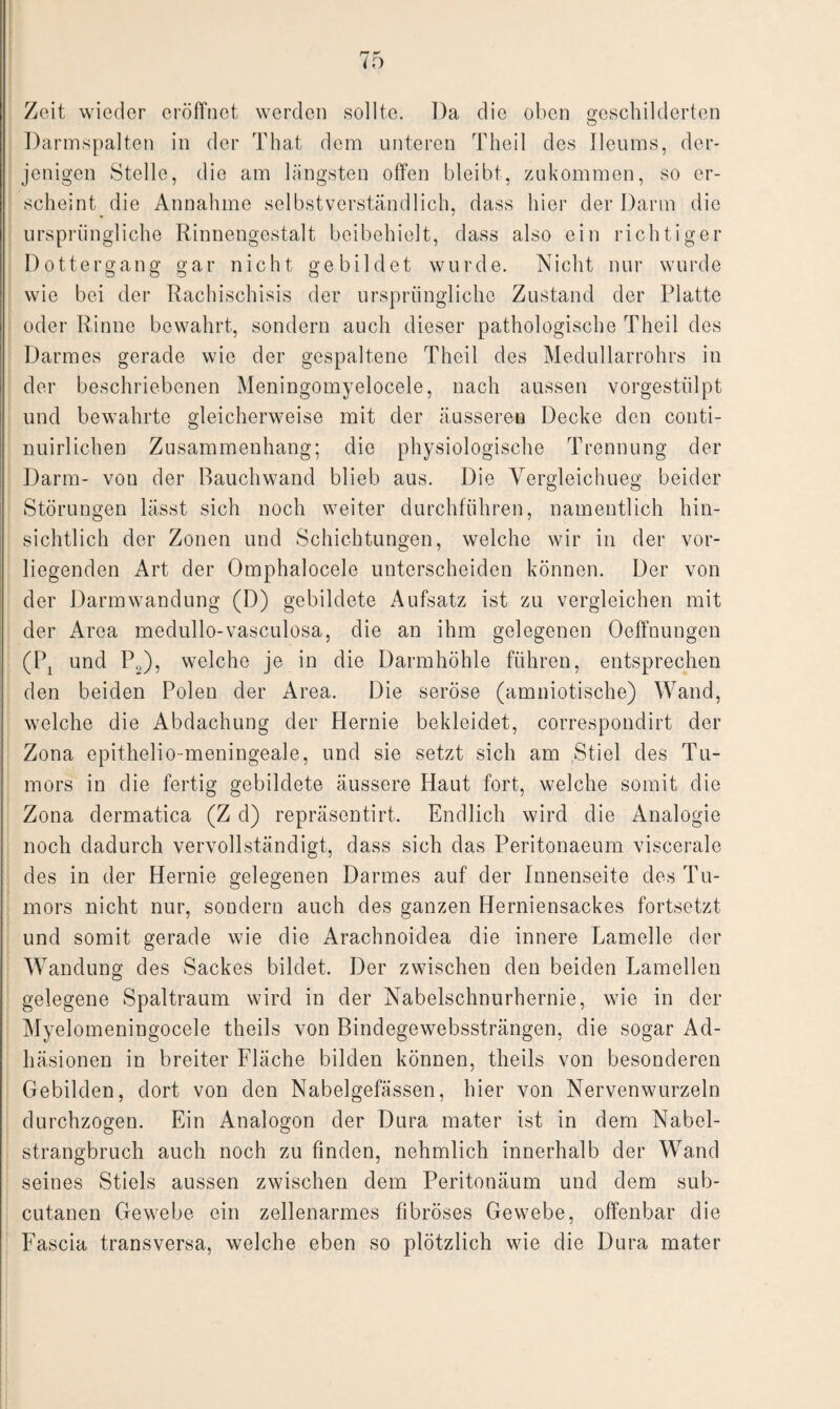 Zeit wieder eröffnet werden sollte. I)a die oben geschilderten Darmspalten in der That dem unteren Theil des Ileums, der¬ jenigen Stelle, die am längsten offen bleibt, zukommen, so er¬ scheint die Annahme selbstverständlich, dass hier der Dann die ursprüngliche Rinnengestalt beibehielt, dass also ein richtiger Dottergang gar nicht gebildet wurde. Nicht nur wurde wie bei der Rachischisis der ursprüngliche Zustand der Platte oder Rinne bewahrt, sondern auch dieser pathologische Theil des Darmes gerade wie der gespaltene Theil des Medullarrohrs in der beschriebenen Meningomyelocele, nach aussen vorgestülpt und bewahrte gleicherweise mit der äusseren Decke den conti- nuirliehen Zusammenhang; die physiologische Trennung der Darm- von der Rauchwand blieb aus. Die Vergleichueg beider Störungen lässt sich noch weiter durchführen, namentlich hin¬ sichtlich der Zonen und Schichtungen, welche wir in der vor¬ liegenden Art der Omphalocele unterscheiden können. Der von der Darmwandung (D) gebildete Aufsatz ist zu vergleichen mit der Area medullo-vasculosa, die an ihm gelegenen Oeffnungen (Px und P2), welche je in die Darmhöhle führen, entsprechen den beiden Polen der Area. Die seröse (amniotische) Wand, welche die Abdachung der Hernie bekleidet, correspondirt der Zona epithelio-meningeale, und sie setzt sich am Stiel des Tu¬ mors in die fertig gebildete äussere Haut fort, welche somit die Zona clermatica (Z d) repräsentirt. Endlich wird die Analogie noch dadurch vervollständigt, dass sich das Peritonaeum viscerale des in der Hernie gelegenen Darmes auf der Innenseite des Tu¬ mors nicht nur, sondern auch des ganzen Herniensackes fortsetzt und somit gerade wie die Arachnoidea die innere Lamelle der Wandung des Sackes bildet. Der zwischen den beiden Lamellen gelegene Spaltraum wird in der Nabelschnurhernie, wie in der Myelomeningocele theils von Bindegewebssträngen, die sogar Ad¬ häsionen in breiter Fläche bilden können, theils von besonderen Gebilden, dort von den Nabelgefässen, hier von Nervenwurzeln durchzogen. Ein Analogon der Dura mater ist in dem Nabel¬ strangbruch auch noch zu finden, nehmlich innerhalb der Wand seines Stiels aussen zwischen dem Peritonäum und dem sub- cutanen Gewebe ein zellenarmes fibröses Gewebe, offenbar die Fascia transversa, welche eben so plötzlich wie die Dura mater