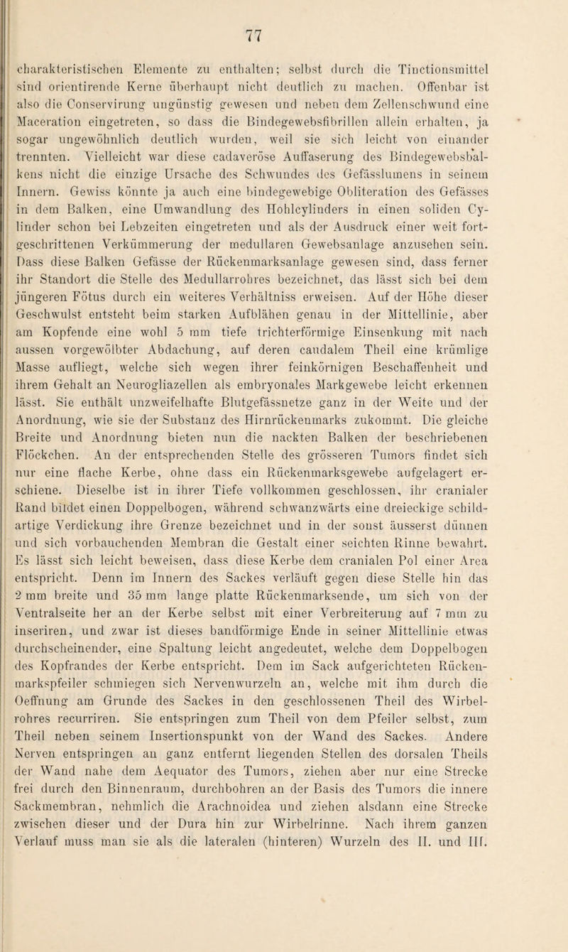 charakteristischen Elemente zu enthalten; selbst durch die Tinctionsmittel sind orientirende Kerne überhaupt nicht deutlich zu machen. Offenbar ist also die Conservirung ungünstig gewesen und neben dem Zellenschwund eine Maceration eingetreten, so dass die Bindegewebsfibrillen allein erhalten, ja sogar ungewöhnlich deutlich wurden, weil sie sich leicht von einander trennten. Vielleicht war diese cadaveröse Auffaserung des Bindegewebsbal- kens nicht die einzige Ursache des Schwundes des Gefässlumens in seinem Innern. Gewiss könnte ja auch eine bindegewebige Obliteration des Gefässes in dem Balken, eine Umwandlung des Hohlcylinders in einen soliden Cy- linder schon bei Lebzeiten eingetreten und als der Ausdruck einer weit fort¬ geschrittenen Verkümmerung der medullären Gewebsanlage anzusehen sein. Dass diese Balken Gefässe der Rückenmarksanlage gewesen sind, dass ferner ihr Standort die Stelle des Medullarrohres bezeichnet, das lässt sich bei dem jüngeren Fötus durch ein weiteres Verhältniss erweisen. Auf der Höhe dieser Geschwulst entsteht beim starken Aufblähen genau in der Mittellinie, aber am Kopfende eine wohl 5 mm tiefe trichterförmige Einsenkung mit nach aussen vorgewölbter Abdachung, auf deren caudalem Theil eine krümlige Masse aufliegt, welche sich wegen ihrer feinkörnigen Beschaffenheit und ihrem Gehalt an Neurogliazellen als embryonales Markgewebe leicht erkennen lässt. Sie enthält unzweifelhafte Blutgefässnetze ganz in der Weite und der Anordnung, wie sie der Substanz des Hirnrückenmarks zukommt. Die gleiche Breite und Anordnung bieten nun die nackten Balken der beschriebenen Flöckchen. An der entsprechenden Stelle des grösseren Tumors findet sich nur eine flache Kerbe, ohne dass ein Rückenmarksgewebe aufgelagert er¬ schiene. Dieselbe ist in ihrer Tiefe vollkommen geschlossen, ihr cranialer Rand bildet einen Doppelbogen, während schwanzwärts eine dreieckige schild¬ artige Verdickung ihre Grenze bezeichnet und in der sonst äusserst dünnen und sich vorbauchenden Membran die Gestalt einer seichten Rinne bewahrt. Es lässt sich leicht beweisen, dass diese Kerbe dem cranialen Pol einer Area entspricht. Denn im Innern des Sackes verläuft gegen diese Stelle hin das 2 mm breite und 35 mm lange platte Rückenmarksende, um sich von der Ventralseite her an der Kerbe selbst mit einer Verbreiterung auf 7 mm zu inseriren, und zwar ist dieses bandförmige Ende in seiner Mittellinie etwas durchscheinender, eine Spaltung leicht angedeutet, welche dem Doppelbogen des Kopfrandes der Kerbe entspricht. Dem im Sack aufgerichteten Rücken¬ markspfeiler schmiegen sich Nervenwurzeln an, welche mit ihm durch die Oeffnung am Grunde des Sackes in den geschlossenen Theil des Wirbel¬ rohres recurriren. Sie entspringen zum Theil von dem Pfeiler selbst, zum Theil neben seinem Insertionspunkt von der Wand des Sackes. Andere Nerven entspringen an ganz entfernt liegenden Stellen des dorsalen Theils der Wand nahe dem Aequator des Tumors, ziehen aber nur eine Strecke frei durch den Binnenraum, durchbohren an der Basis des Tumors die innere Sackmembran, nehmlich die Aracbnoidea und ziehen alsdann eine Strecke zwischen dieser und der Dura hin zur Wirbelrinne. Nach ihrem ganzen Verlauf muss man sie als die lateralen (hinteren) Wurzeln des II. und Ilf.