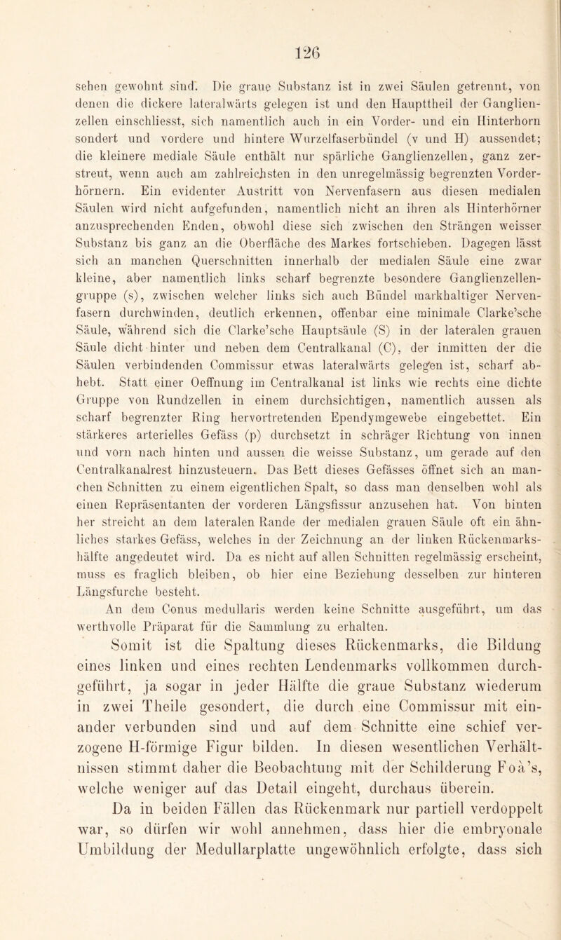 sehen gewohnt sind. Die graue Substanz ist in zwei Säulen getrennt, von denen die dickere lateralwärts gelegen ist und den Haupttheil der Ganglien¬ zellen einschliesst, sich namentlich auch in ein Vorder- und ein Hinterhorn sondert und vordere und hintere Wurzelfaserbündel (v und H) aussendet; die kleinere mediale Säule enthält nur spärliche Ganglienzellen, ganz zer¬ streut, wenn auch am zahlreichsten in den unregelmässig begrenzten Vorder¬ hörnern. Ein evidenter Austritt von Nervenfasern aus diesen medialen Säulen wird nicht aufgefunden, namentlich nicht an ihren als Hinterhörner anzusprechenden Enden, obwohl diese sich zwischen den Strängen weisser Substanz bis ganz an die Oberfläche des Markes fortschieben. Dagegen lässt sich an manchen Querschnitten innerhalb der medialen Säule eine zwar kleine, aber namentlich links scharf begrenzte besondere Ganglienzellen¬ gruppe (s), zwischen welcher links sich auch Bündel markhaltiger Nerven¬ fasern durchwinden, deutlich erkennen, offenbar eine minimale Clarke’sche Säule, wahrend sich die Clarke’sche Hauptsäule (S) in der lateralen grauen Säule dicht hinter und neben dem Centralkanal (C), der inmitten der die Säulen verbindenden Commissur etwas lateralwärts gelegen ist, scharf ab¬ hebt. Statt einer Oeffnung im Centralkanal ist links wie rechts eine dichte Gruppe von Rundzellen in einem durchsichtigen, namentlich aussen als scharf begrenzter Ring hervortretenden Ependymgewebe eingebettet. Ein stärkeres arterielles Gefäss (p) durchsetzt in schräger Richtung von innen und vorn nach hinten und aussen die weisse Substanz, um gerade auf den Centralkanalrest hinzusteuern. Das Bett dieses Gefässes öffnet sich an man¬ chen Schnitten zu einem eigentlichen Spalt, so dass man denselben wohl als einen Repräsentanten der vorderen Längsfissur anzusehen hat. Von hinten her streicht an dem lateralen Rande der medialen grauen Säule oft ein ähn¬ liches starkes Gefäss, welches in der Zeichnung an der linken Rückenmarks¬ hälfte angedeutet wird. Da es nicht auf allen Schnitten regelmässig erscheint, muss es fraglich bleiben, ob hier eine Beziehung desselben zur hinteren Längsfurche besteht. An dem Conus medullaris werden keine Schnitte ausgeführt, um das werthvolle Präparat für die Sammlung zu erhalten. Somit ist die Spaltung dieses Rückenmarks, die Bildung eines linken und eines rechten Lendenmarks vollkommen durch¬ geführt, ja sogar in jeder Hälfte die graue Substanz wiederum in zwei Theile gesondert, die durch eine Commissur mit ein¬ ander verbunden sind und auf dem Schnitte eine schief ver¬ zogene H-förmige Figur bilden. In diesen wesentlichen Verhält¬ nissen stimmt daher die Beobachtung mit der Schilderung Foä’s, welche weniger auf das Detail eingeht, durchaus überein. Da in beiden Fällen das Rückenmark nur partiell verdoppelt war, so dürfen wir wohl annehmen, dass hier die embryonale Umbildung der Medullarplatte ungewöhnlich erfolgte, dass sich
