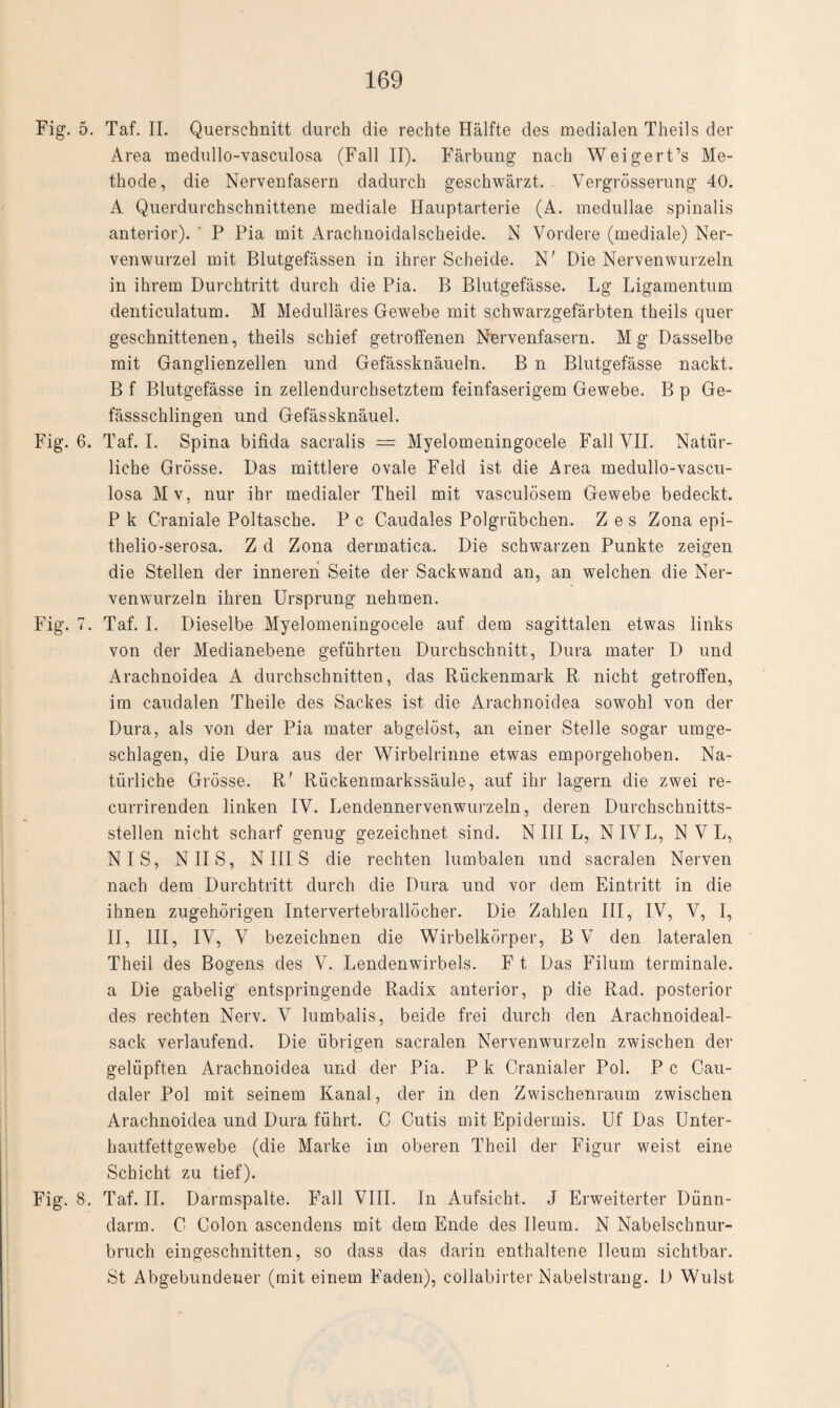 Fig. 5. Taf. II. Querschnitt durch die rechte Hälfte des medialen Theils der Area medullo-vasculosa (Fall II). Färbung nach Weigert’s Me¬ thode, die Nervenfasern dadurch geschwärzt. Vergrösserung 40. A Querdurchschnittene mediale Hauptarterie (A. medullae spinalis anterior). ' P Pia mit Arachnoidalscheide. N Vordere (mediale) Ner¬ venwurzel mit Blutgefässen in ihrer Scheide. N' Die Nervenwurzeln in ihrem Durchtritt durch die Pia. B Blutgefässe. Lg Ligamentum clenticulatum. M Medulläres Gewebe mit schwarzgefärbten theils quer geschnittenen, theils schief getroffenen Nervenfasern. Mg Dasselbe mit Ganglienzellen und Gefässknäueln. B n Blutgefässe nackt. B f Blutgefässe in zellendurchsetztem feinfaserigem Gewebe. B p Ge- fässschlingen und Gefässknäuel. Fig. 6. Taf. I. Spina bifida sacralis = Myelomeningocele Fall VII. Natür¬ liche Grösse. Das mittlere ovale Feld ist die Area medullo-vascu¬ losa Mv, nur ihr medialer Theil mit vasculösem Gewebe bedeckt. P k Craniale Poltasche. P c Caudales Polgrübchen. Z e s Zona epi- thelio-serosa. Z d Zona dermatica. Die schwarzen Punkte zeigen die Stellen der inneren Seite der Sackwand an, an welchen die Ner¬ venwurzeln ihren Ursprung nehmen. Fig. 7. Taf. I. Dieselbe Myelomeningocele auf dem sagittalen etwas links von der Medianebene geführten Durchschnitt, Dura mater D und Arachnoidea A durchschnitten, das Rückenmark R nicht getroffen, im caudalen Theile des Sackes ist die Arachnoidea sowohl von der Dura, als von der Pia mater abgelöst, an einer Stelle sogar umge¬ schlagen, die Dura aus der Wirbelrinne etwas emporgehoben. Na¬ türliche Grösse. R' Rückenmarkssäule, auf ihr lagern die zwei re- currirenden linken IV. Lendennervenwurzeln, deren Durchschnitts¬ stellen nicht scharf genug gezeichnet sind. N III L, NIVL, N V L, NIS, NIIS, NIIIS die rechten lumbalen und sacralen Nerven nach dem Durchtritt durch die Dura und vor dem Eintritt in die ihnen zugehörigen Intervertebrallöcher. Die Zahlen III, IV, V, I, II, III, IV, V bezeichnen die Wirbelkörper, B V den lateralen Theil des Bogens des V. Lendenwirbels. F t Das Filum terminale, a Die gabelig entspringende Radix anterior, p die Rad. posterior des rechten Nerv. V lumbalis, beide frei durch den Arachnoideal- sack verlaufend. Die übrigen sacralen Nervenwurzeln zwischen der gelüpften Arachnoidea und der Pia. P k Cranialer Pol. P c Cau- daler Pol mit seinem Kanal, der in den Zwischenraum zwischen Arachnoidea und Dura führt. C Cutis mit Epidermis. Uf Das Unter¬ hautfettgewebe (die Marke im oberen Theil der Figur weist eine Schicht zu tief). Fig. 8. Taf. II. Darmspalte. Fall VIII. In Aufsicht. J Erweiterter Dünn¬ darm. C Colon ascendens mit dem Ende des Ileum. N Nabelschnur¬ bruch eingeschnitten, so dass das darin enthaltene Ileum sichtbar. St Abgebundener (mit einem Faden), collabirter Nabelstrang. D Wulst